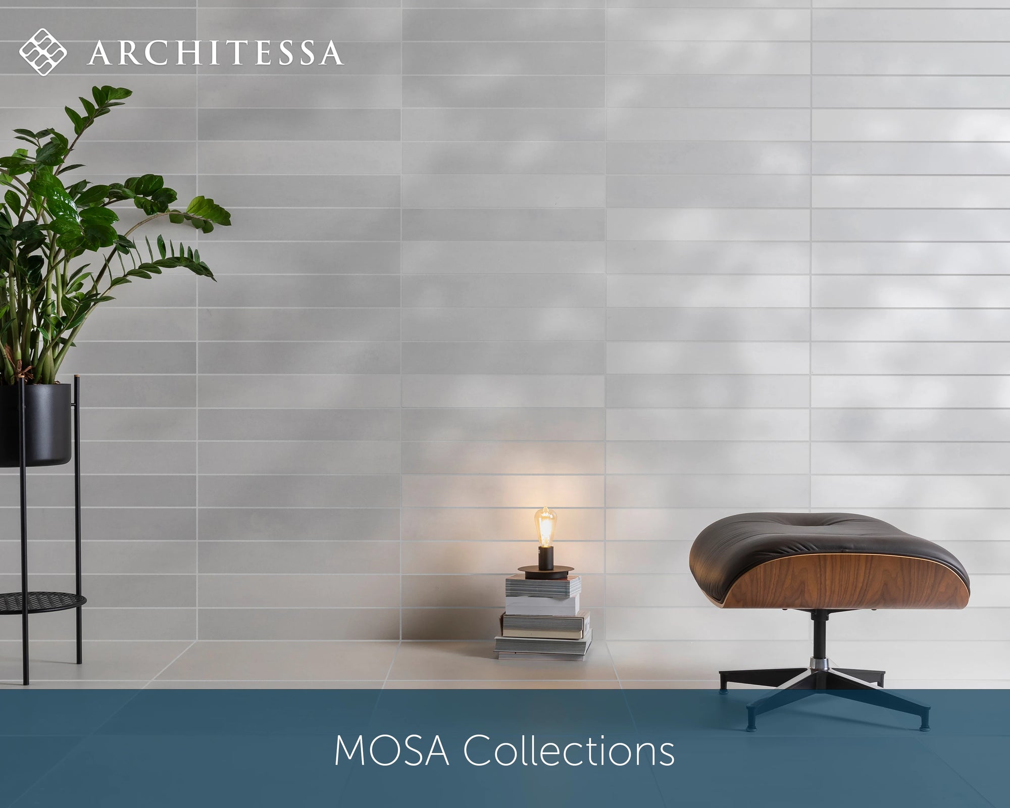 MOSA Collections