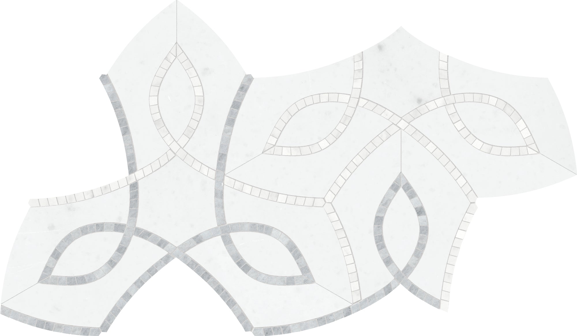 Collins Special Order