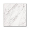 Marble - Bianco Angelica - Architessa