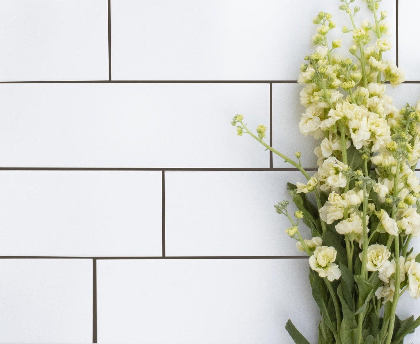 Glover Park | Ceramic Wall Tile - Architessa