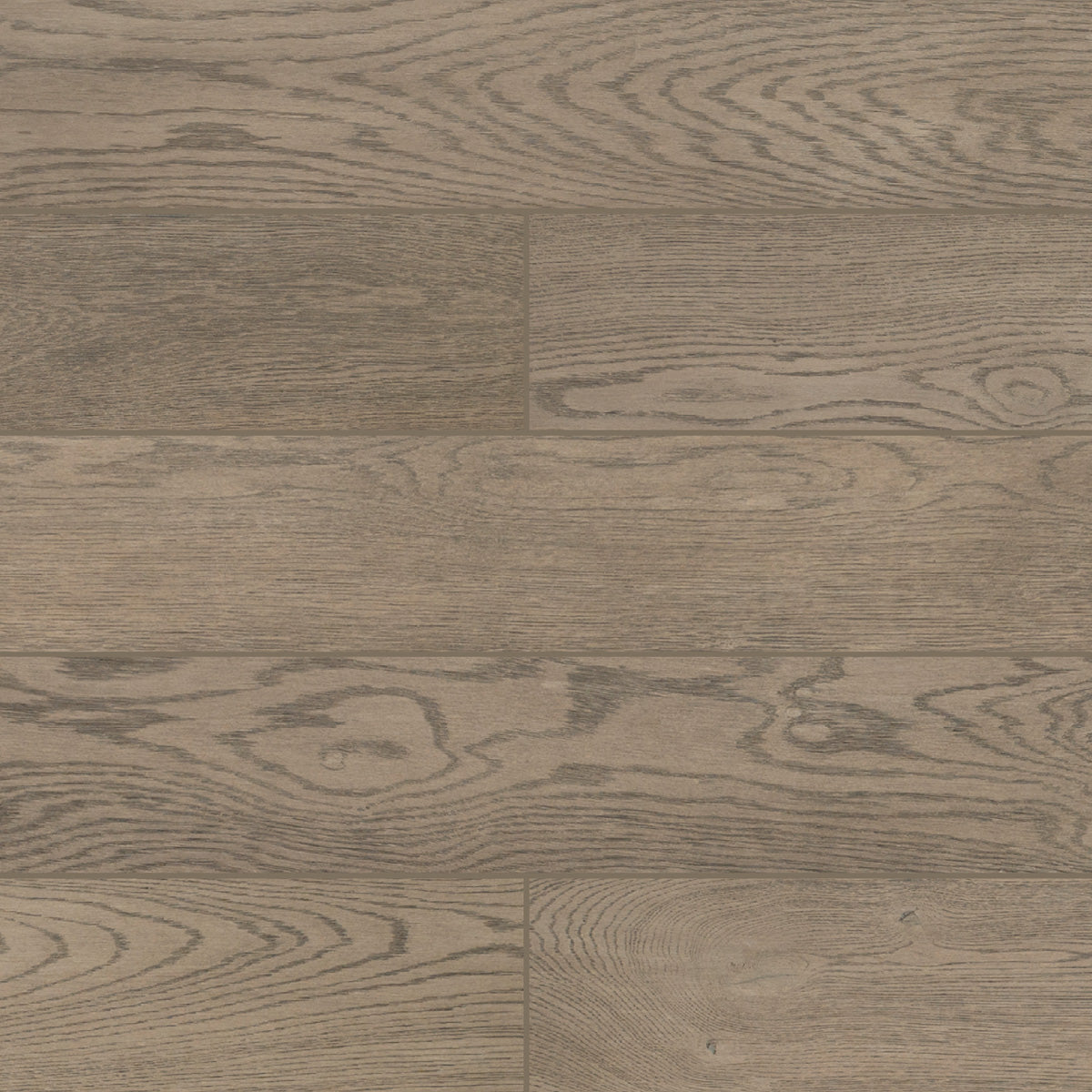 Carnegie - Architessa