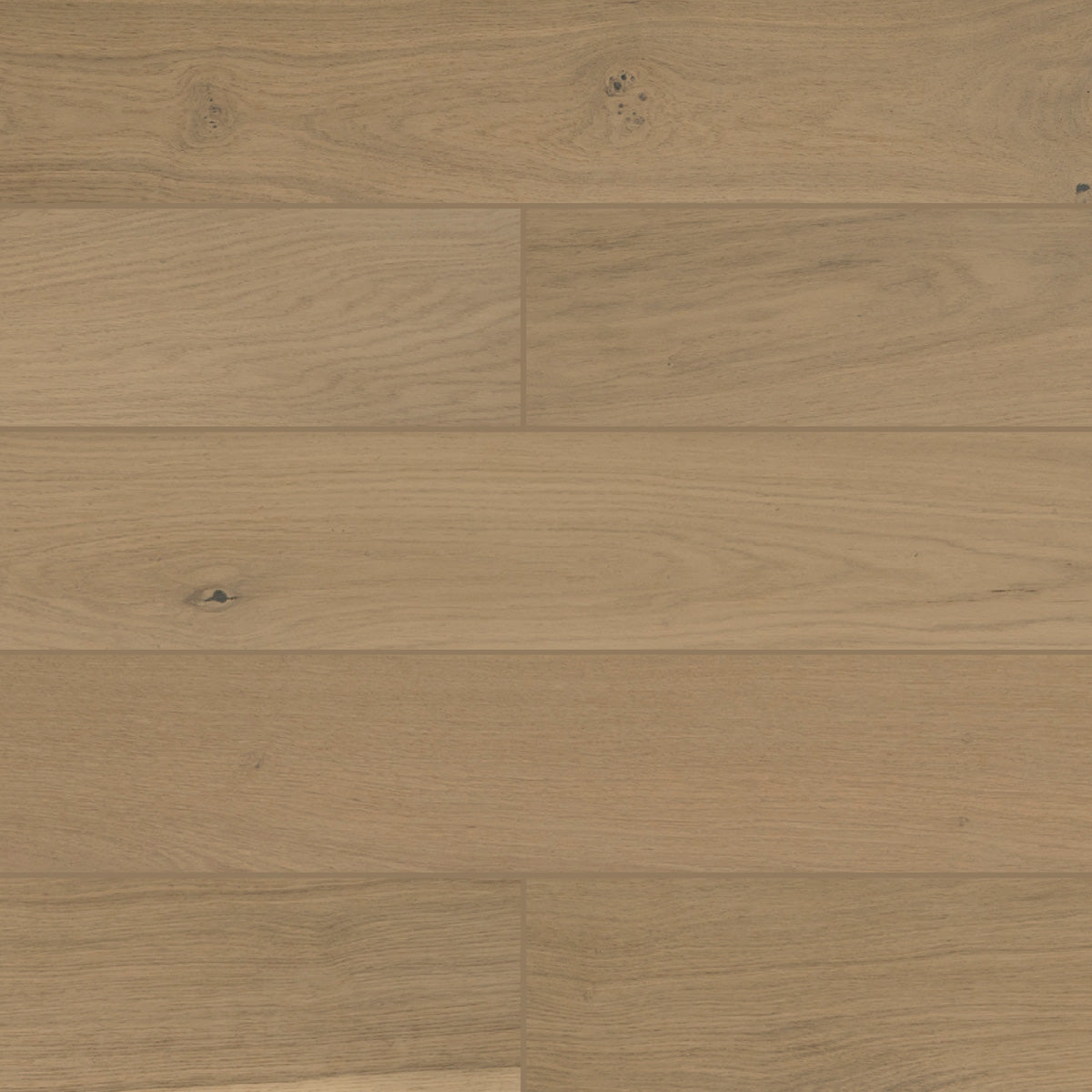 Carnegie - Architessa