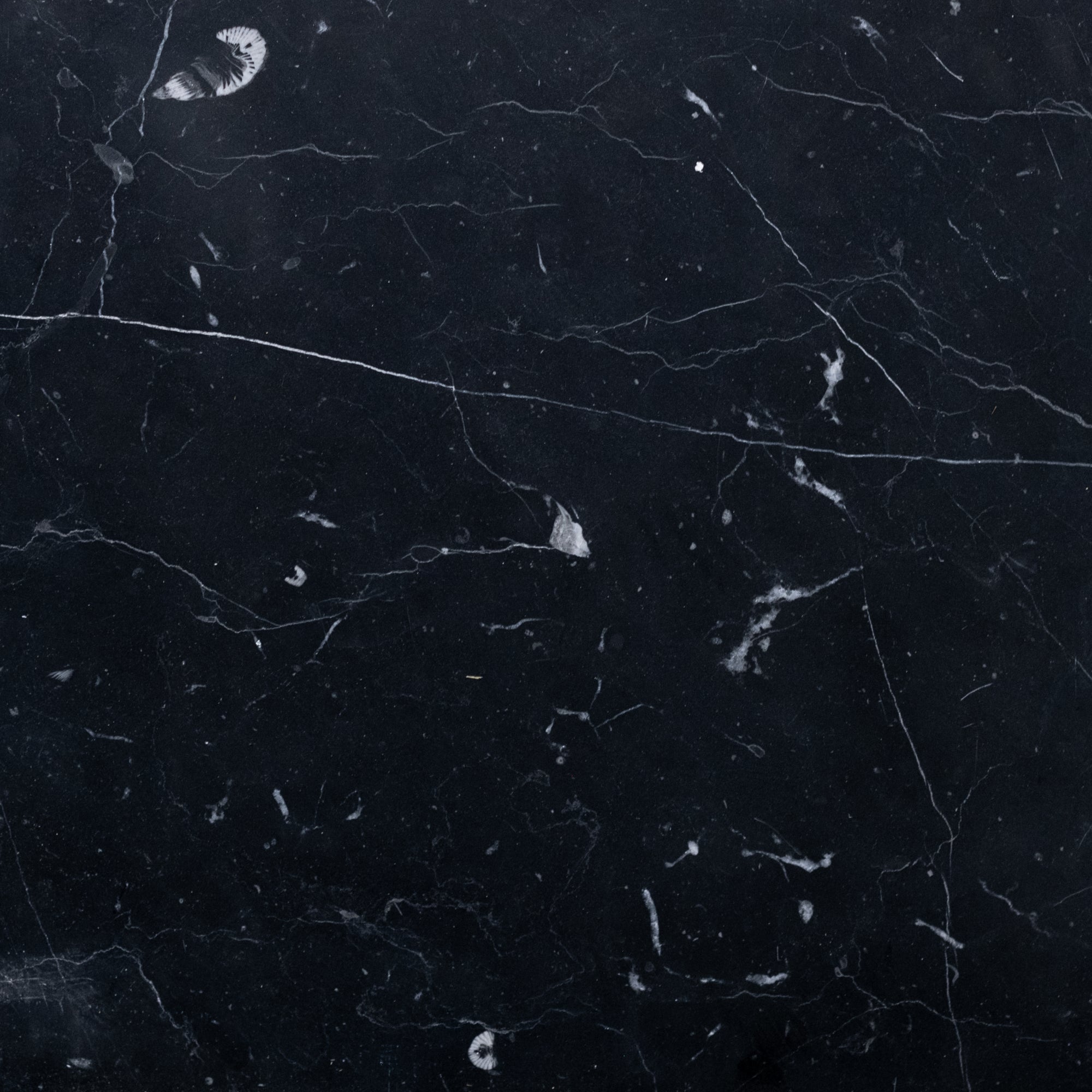 Nero Marquina - Architessa
