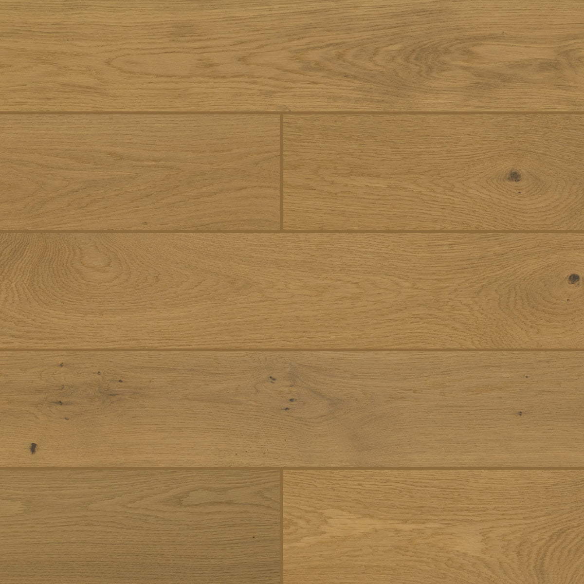 Lenox Hill - Architessa