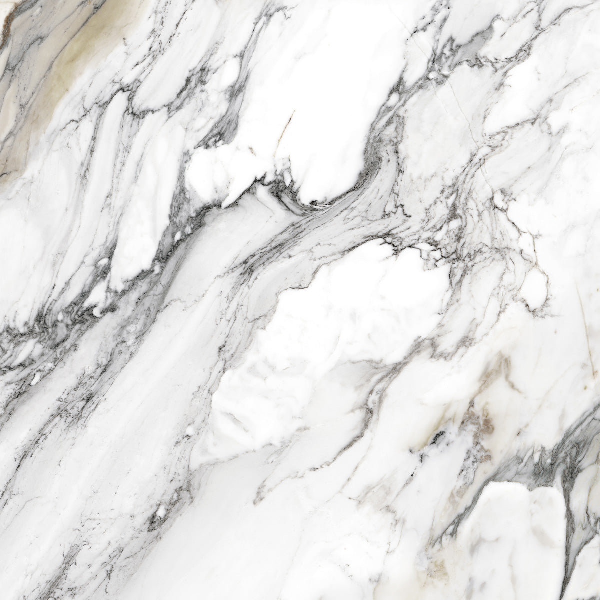 Libretto - Architessa