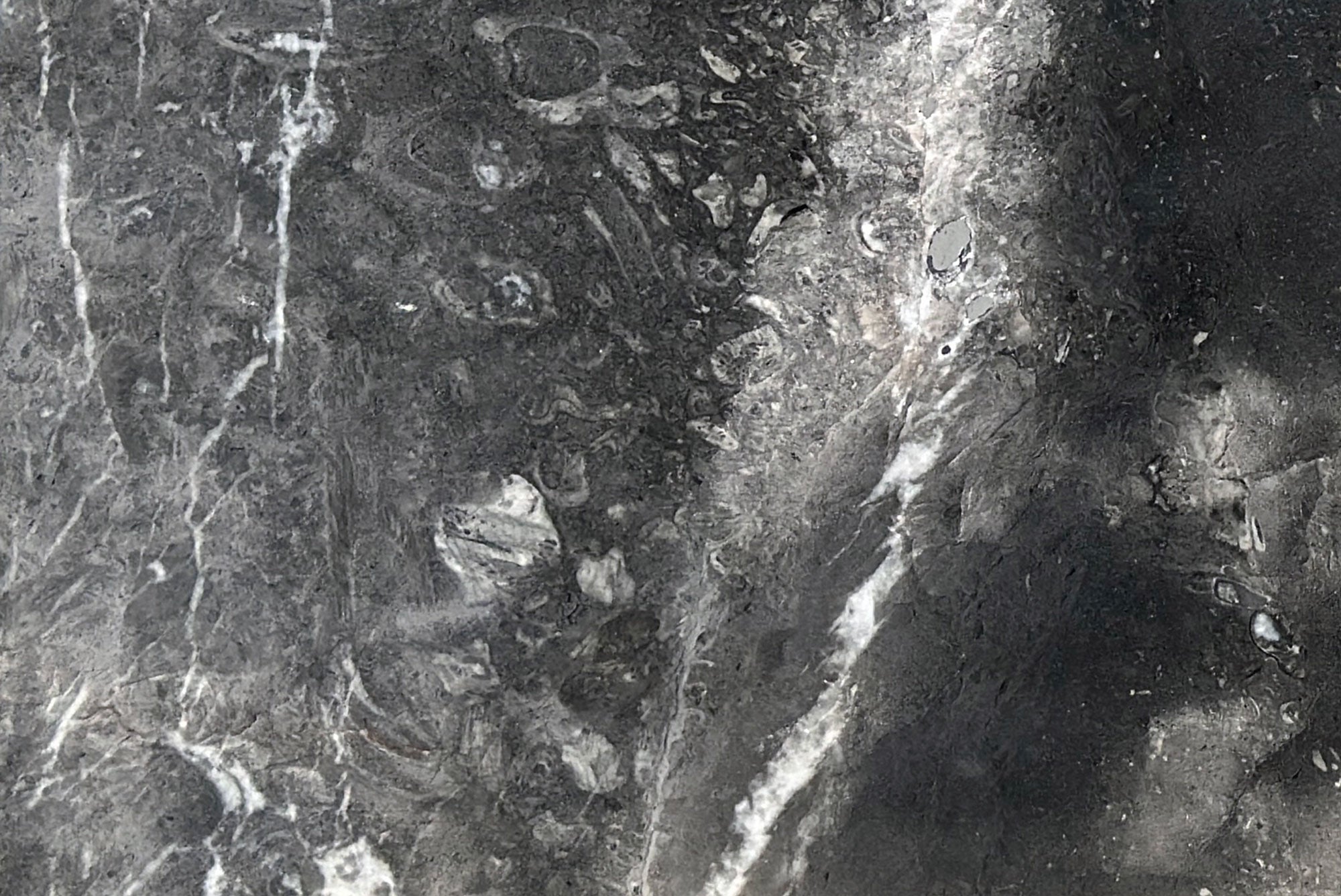 AllClad Matteo - Architessa