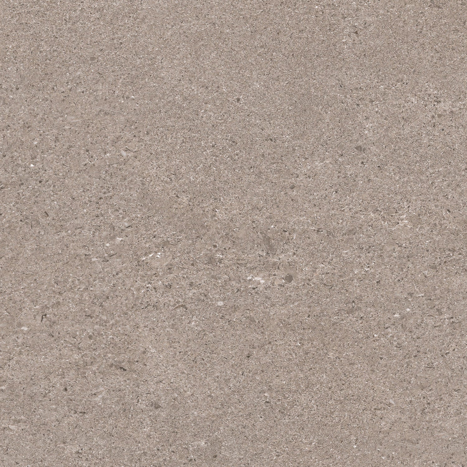 Infinity - Architessa