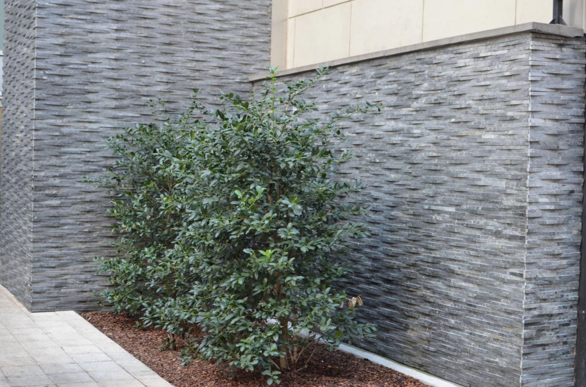 Rustic Cladding - Architessa