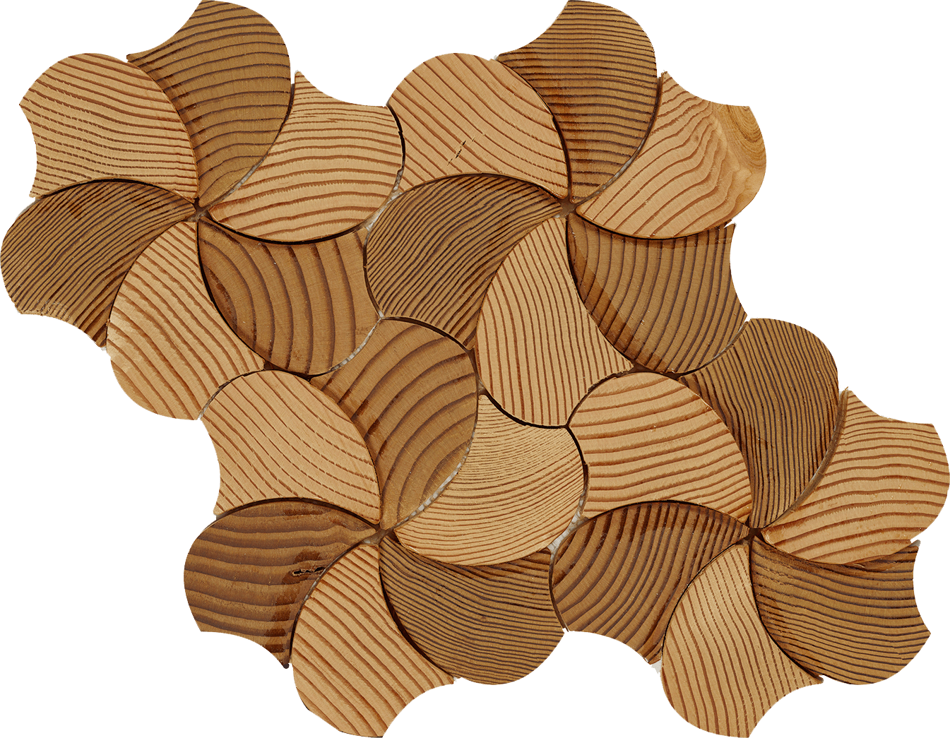 Baywood - Architessa