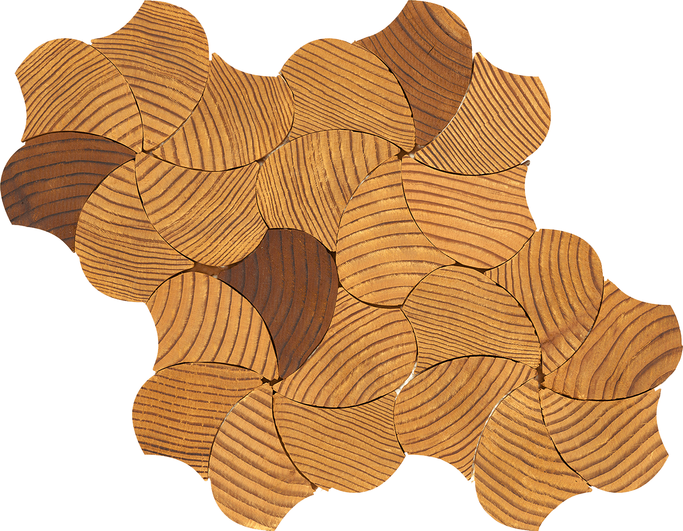 Baywood - Architessa