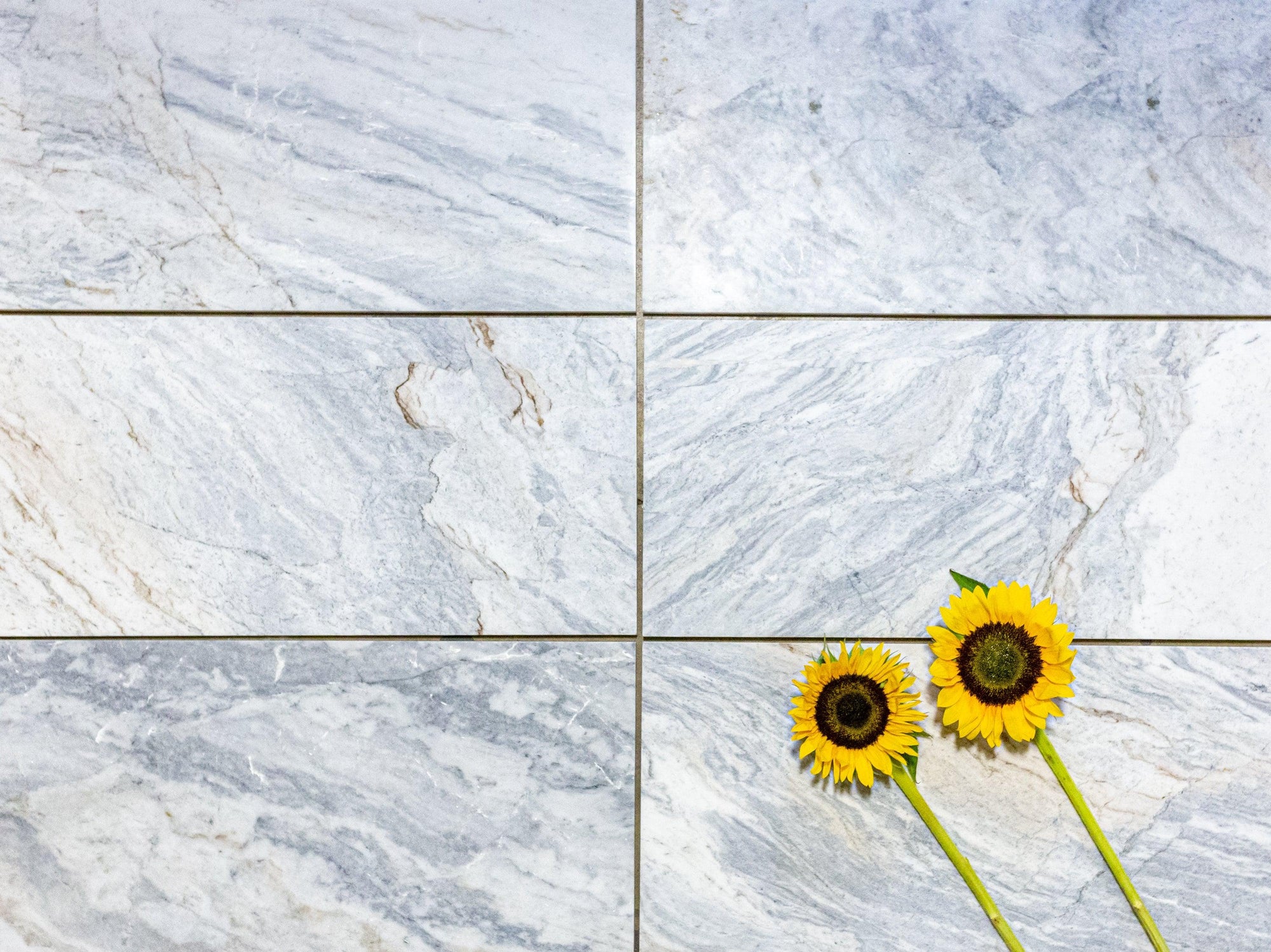 Blue Tides - Architessa