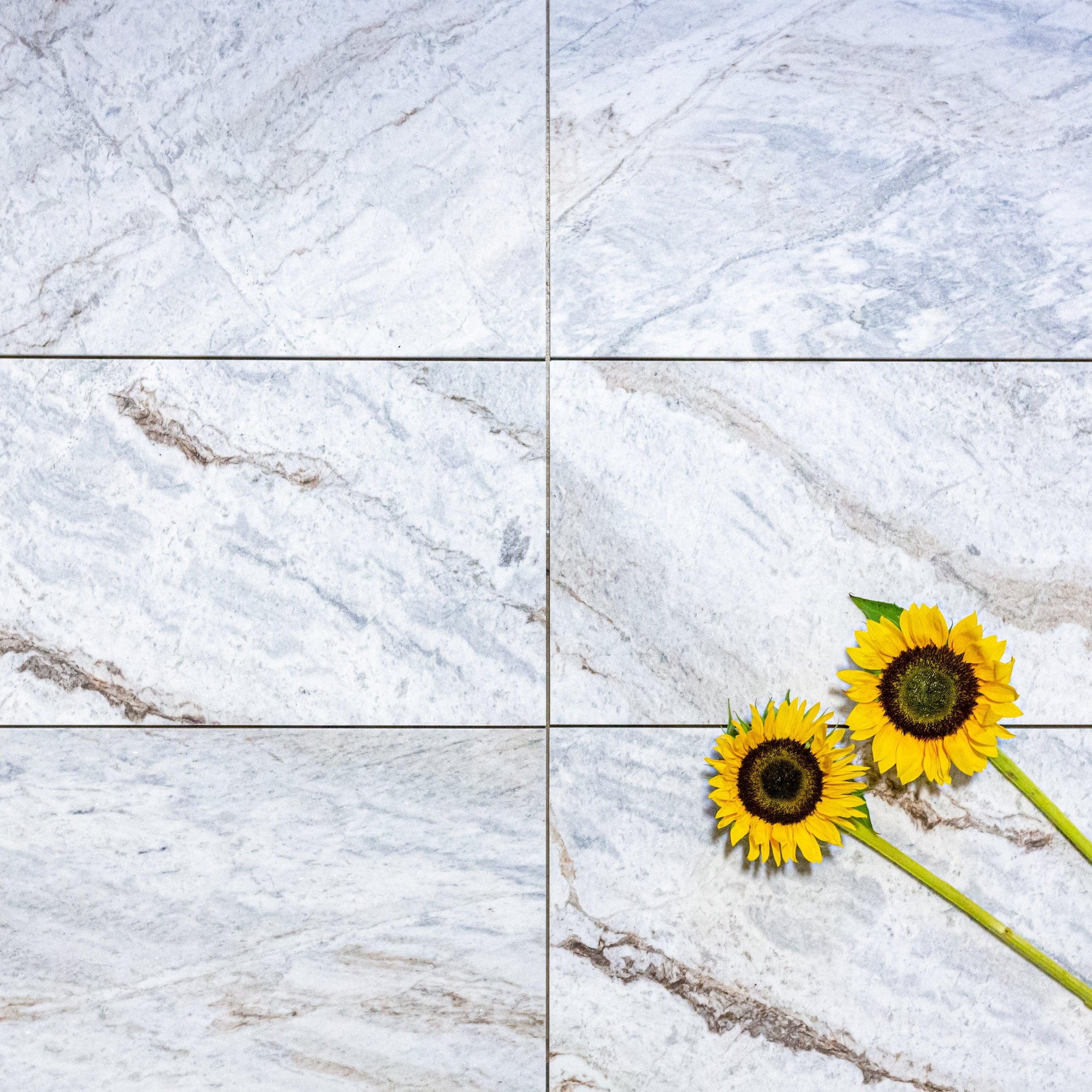 Blue Tides - Architessa