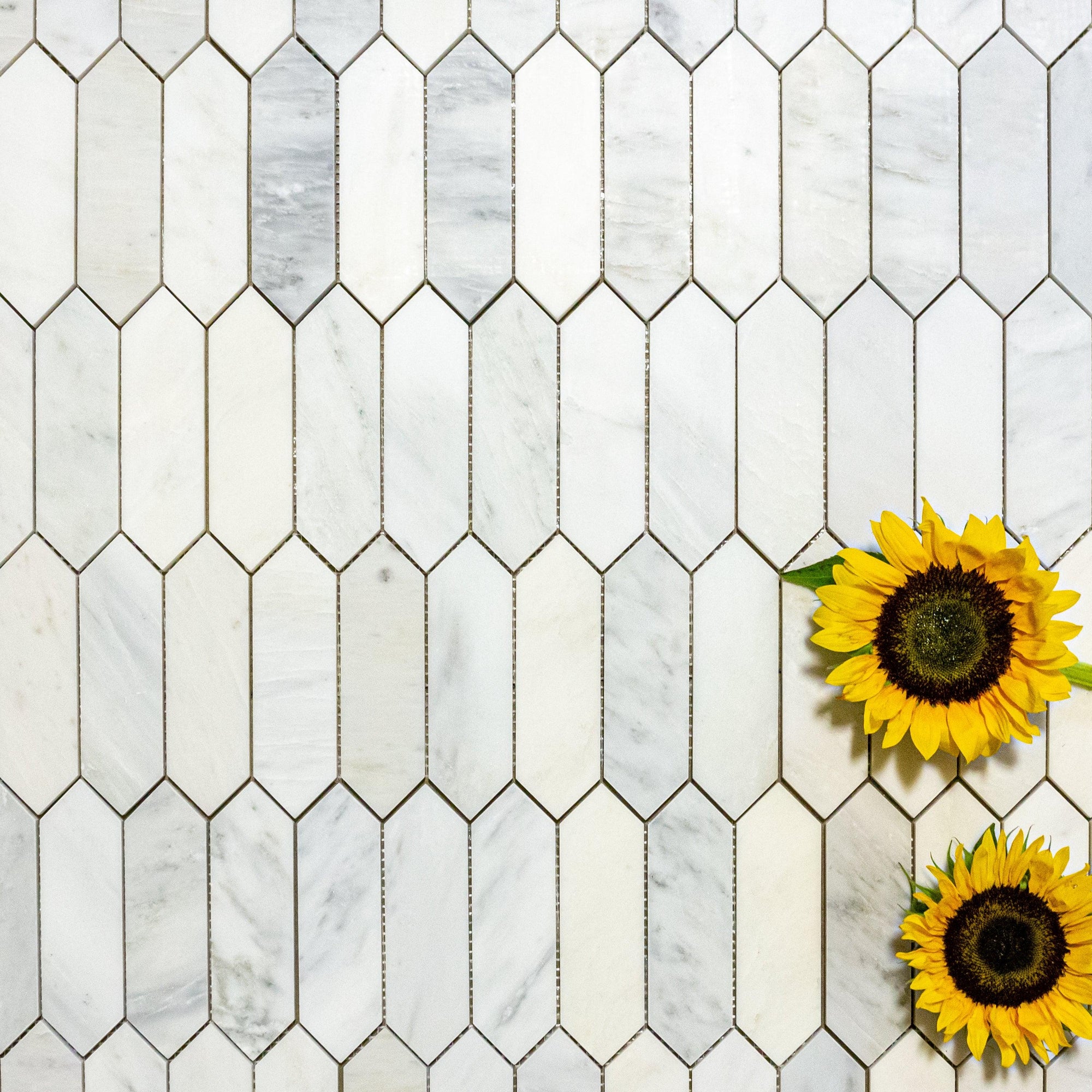 Calacatta Chablis - Architessa