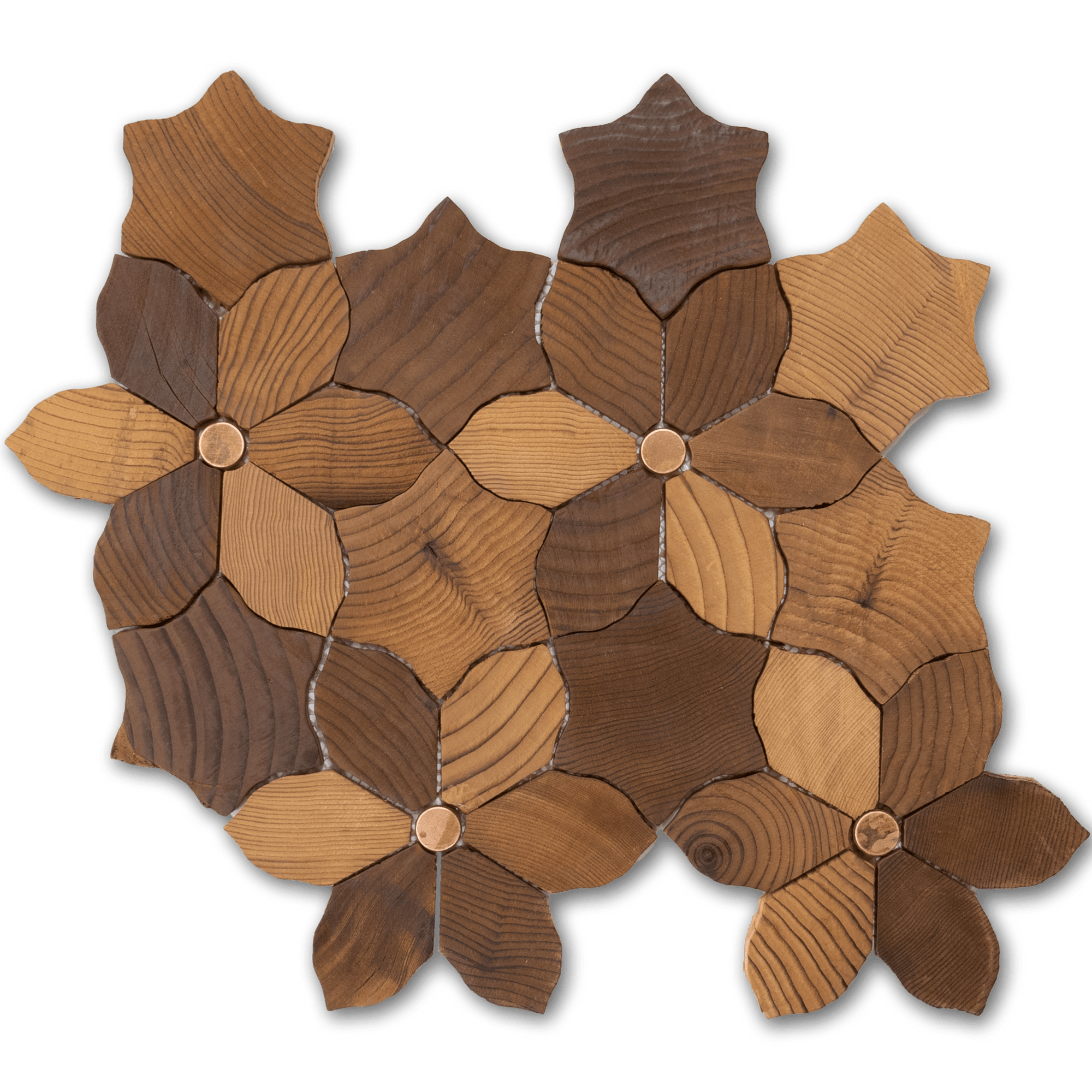 Baywood - Architessa