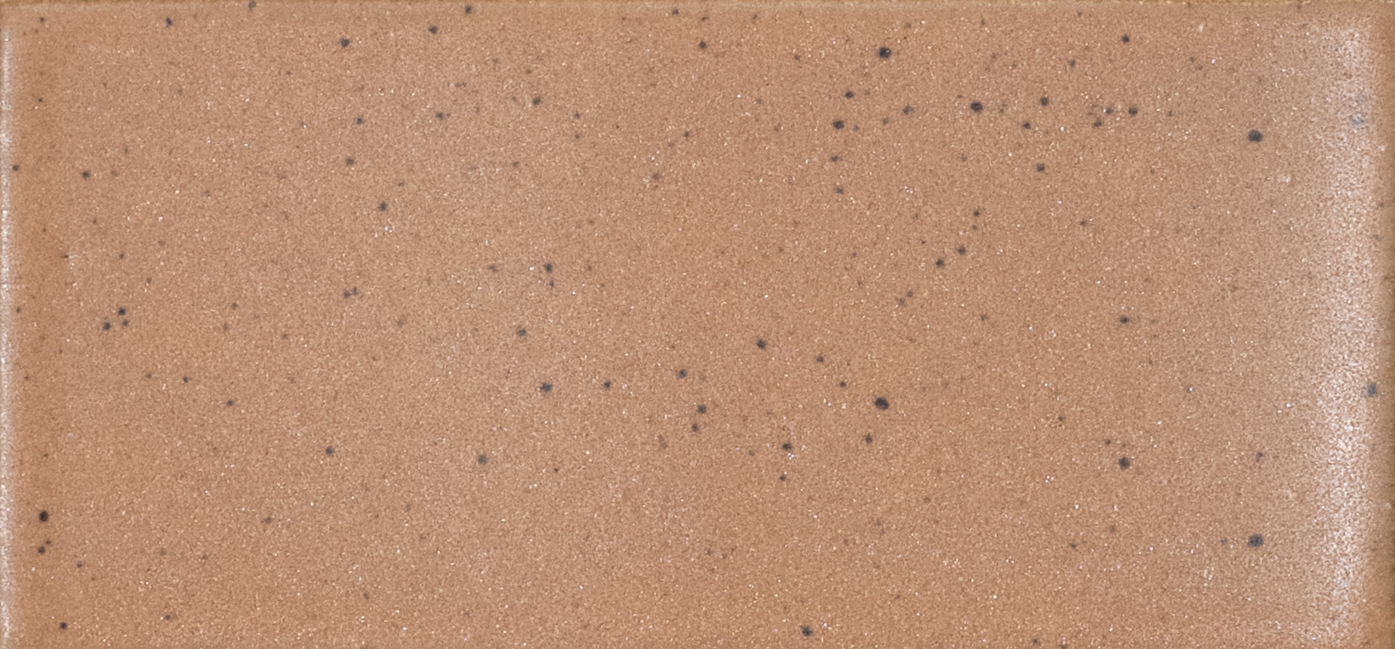 Kat + Roger - Architessa