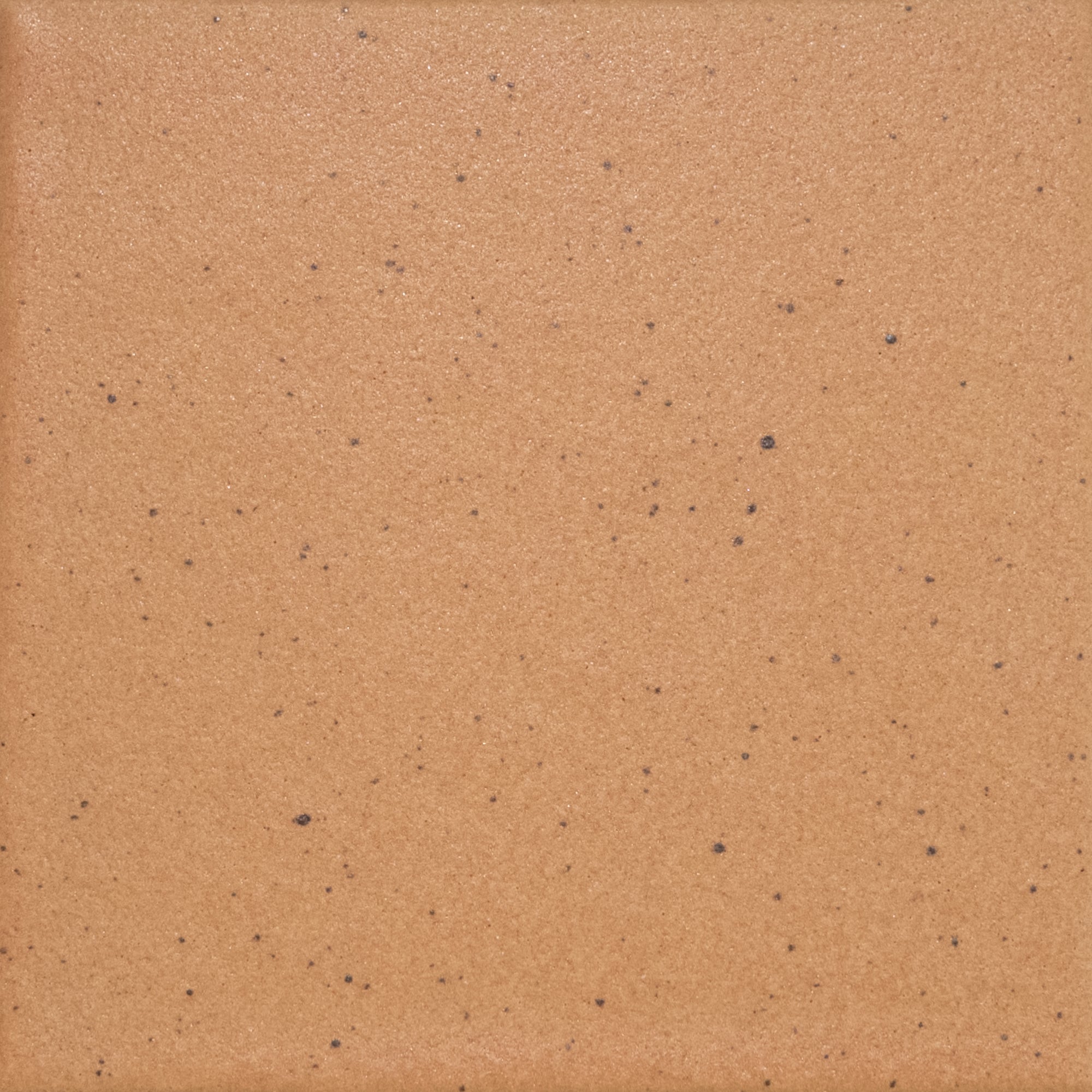 Kat + Roger - Architessa