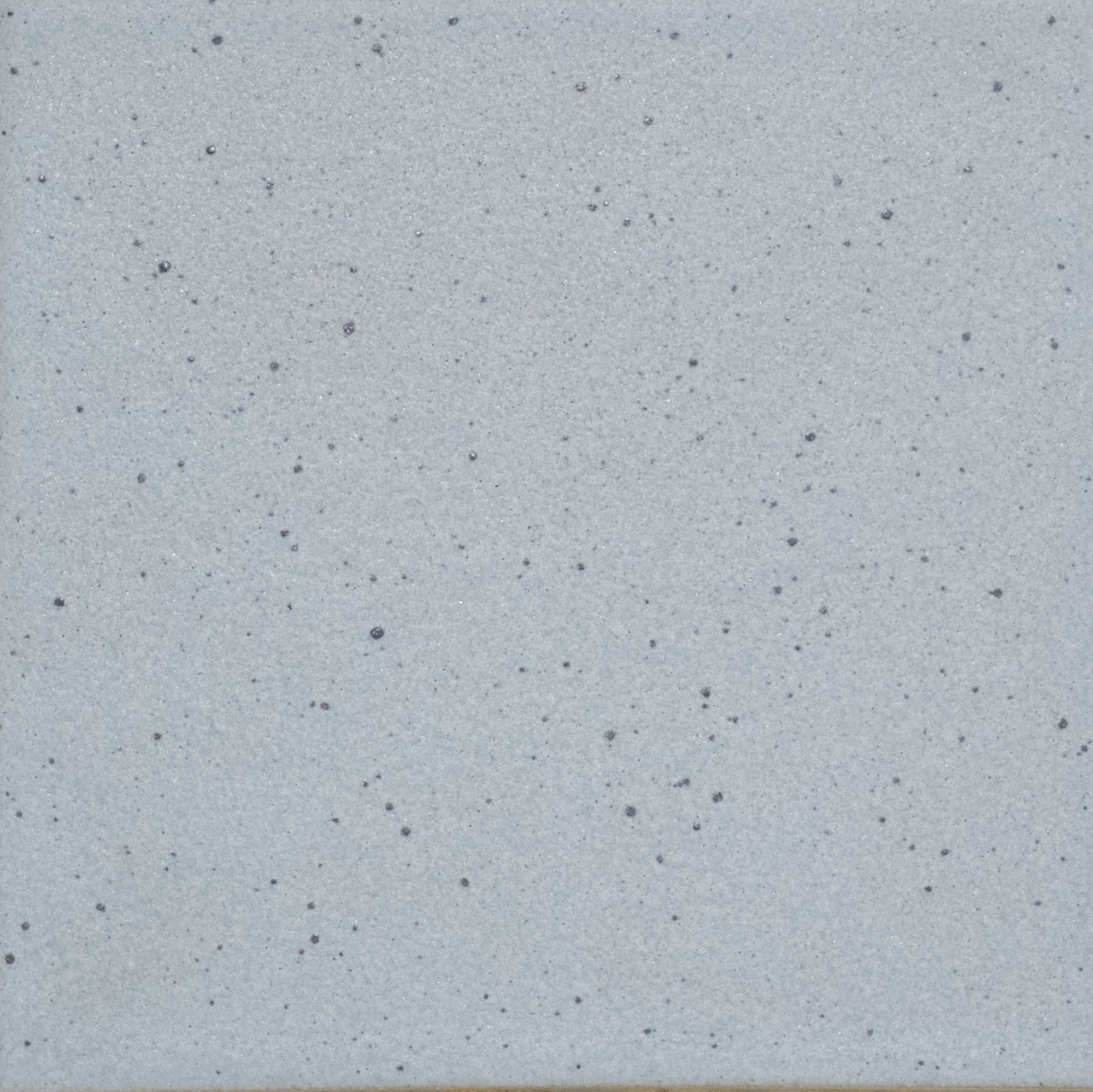 Kat + Roger - Architessa