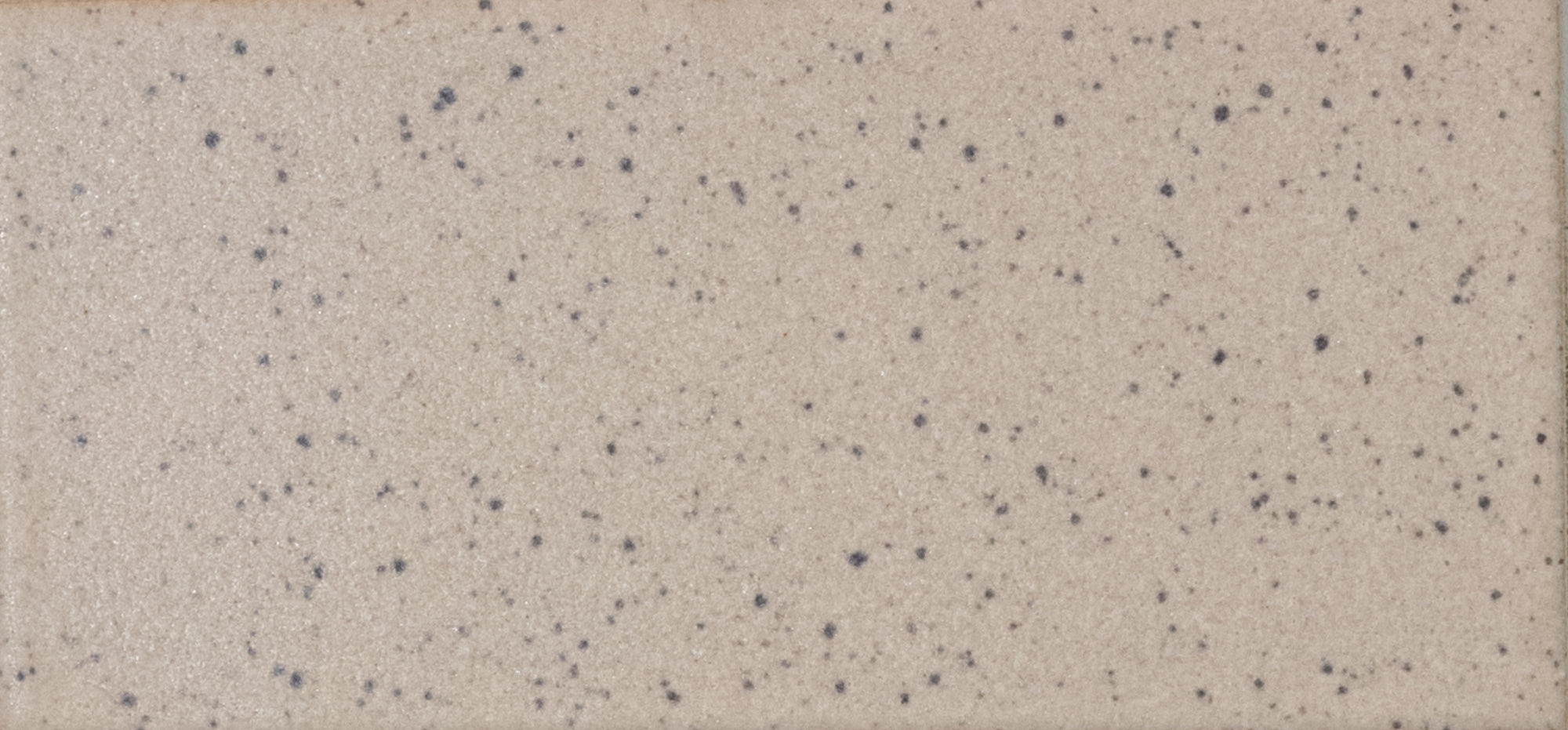 Kat + Roger - Architessa