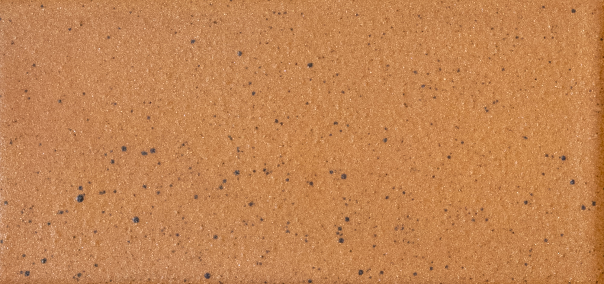 Kat + Roger - Architessa