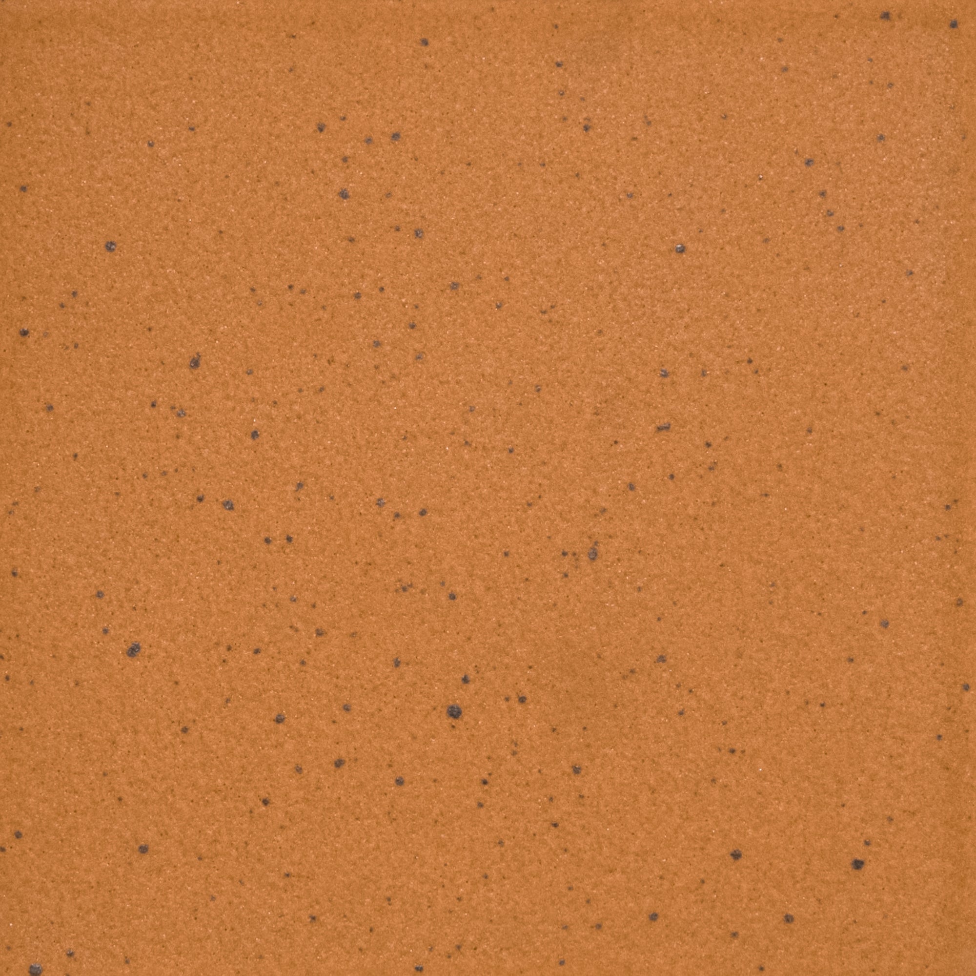 Kat + Roger - Architessa