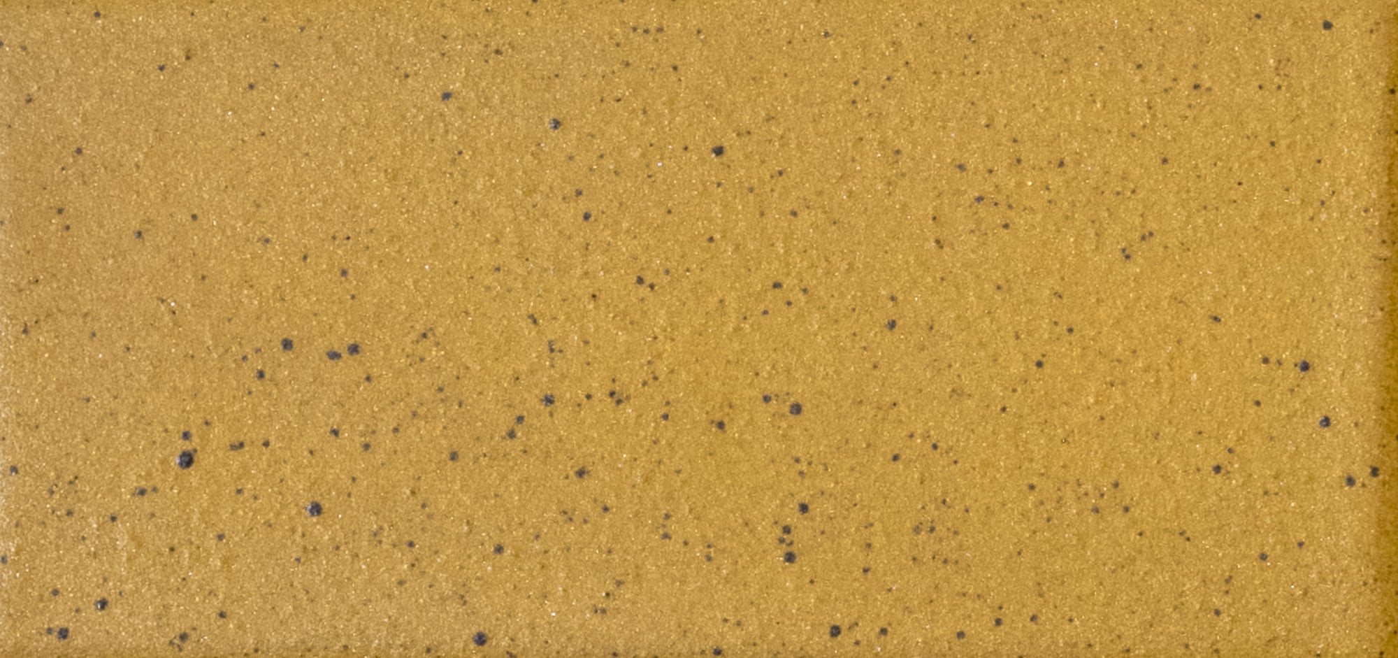 Kat + Roger - Architessa