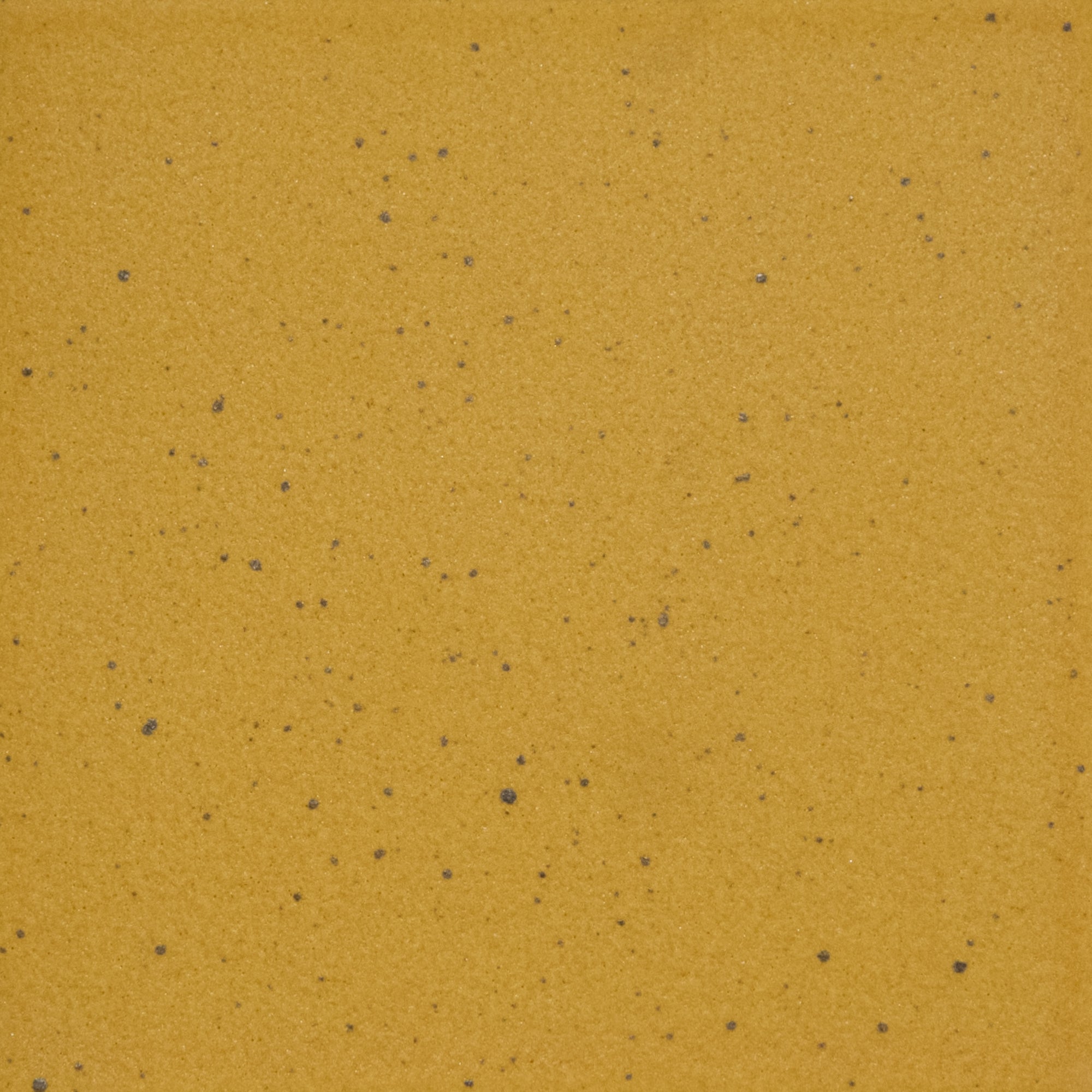 Kat + Roger - Architessa