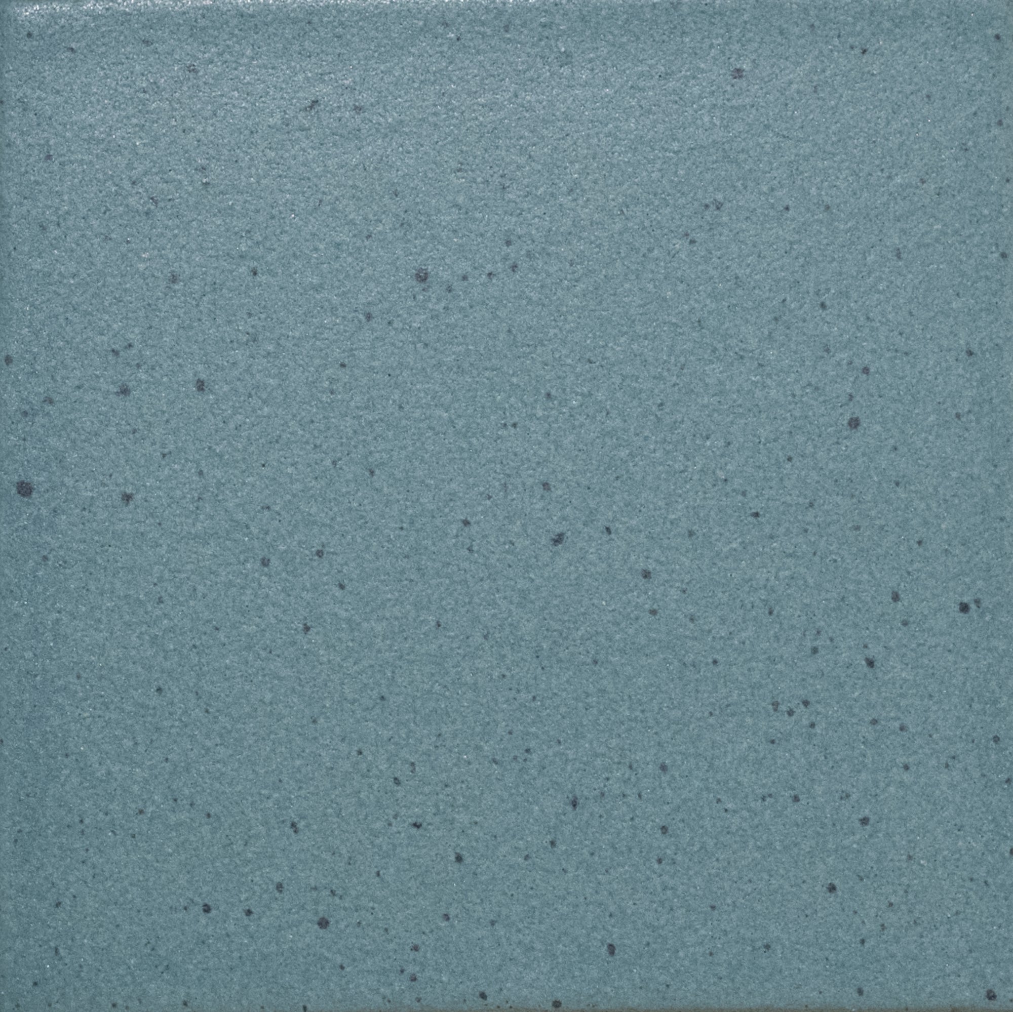 Kat + Roger - Architessa