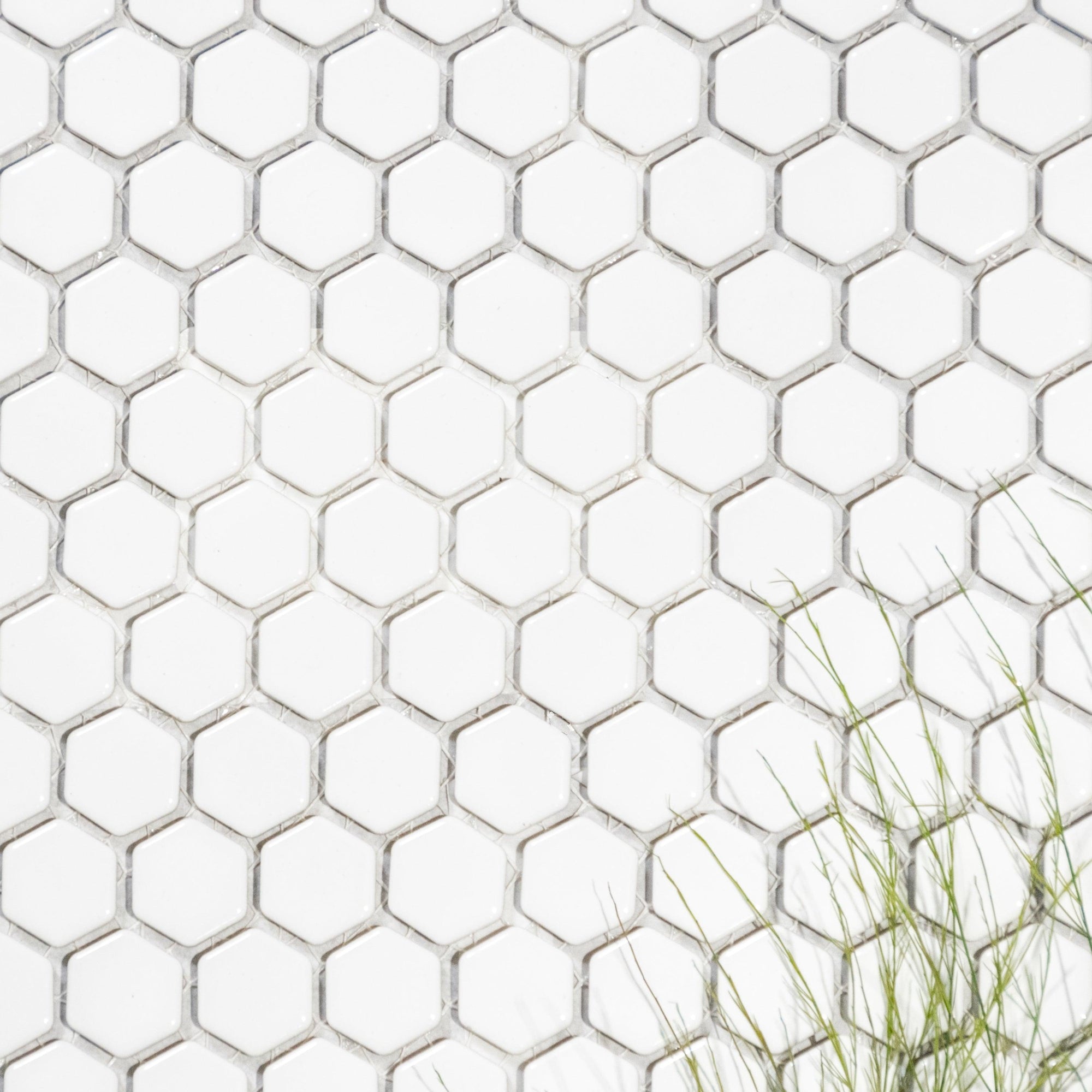 Mainstay - Architessa