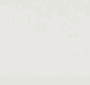 Boutique Sleek - Architessa