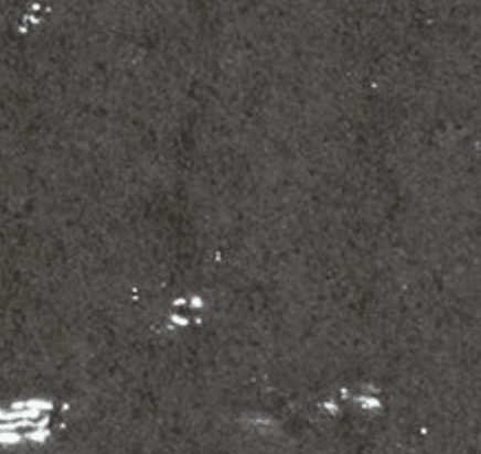 Urban Cottage - Architessa