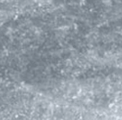 Marble - Grey Bardiglio - Architessa