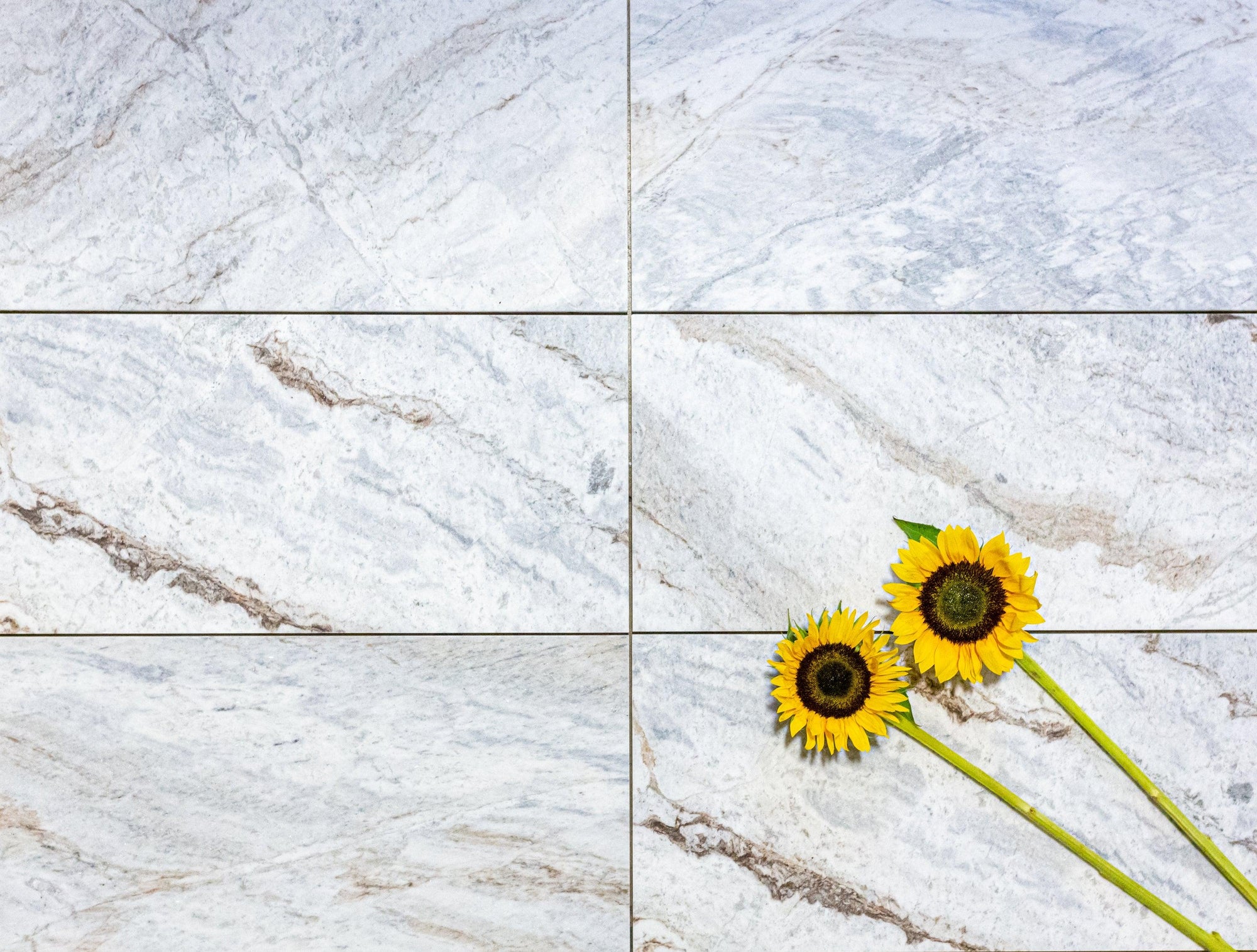 Blue Tides - Architessa