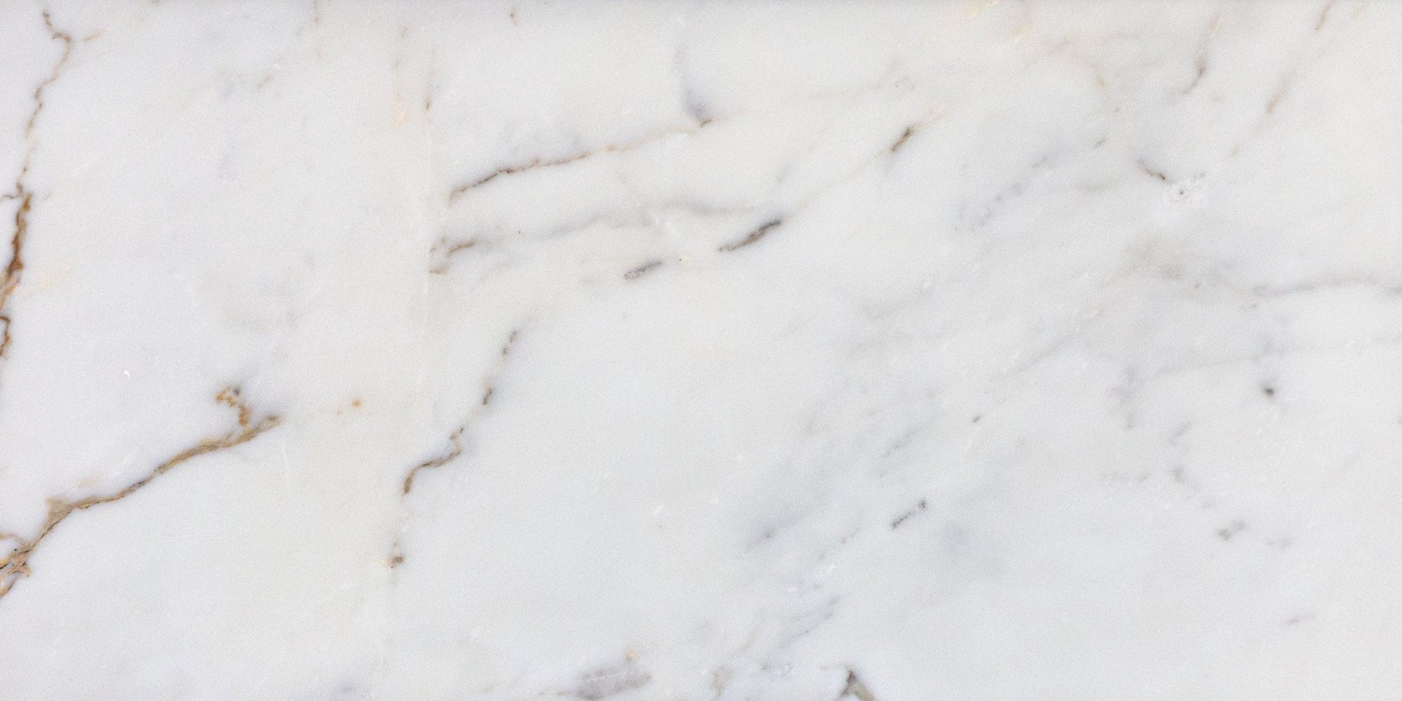 Calacatta Gold - Architessa