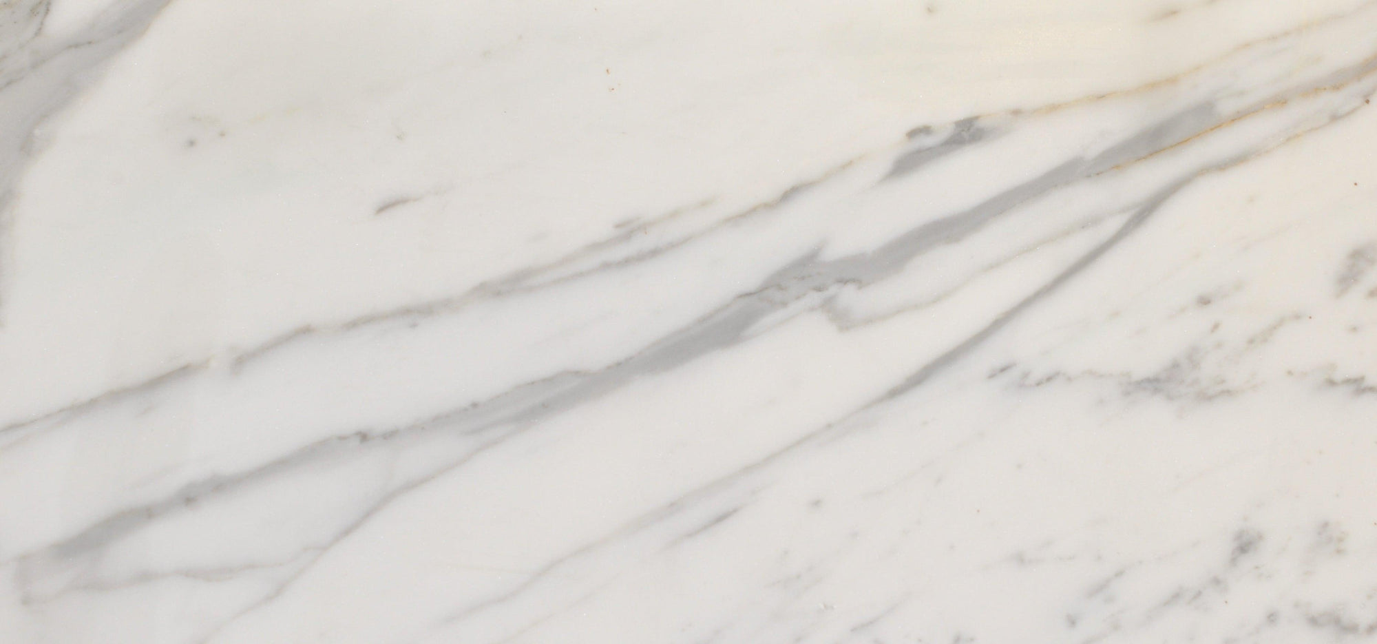 Calacatta Gold - Architessa