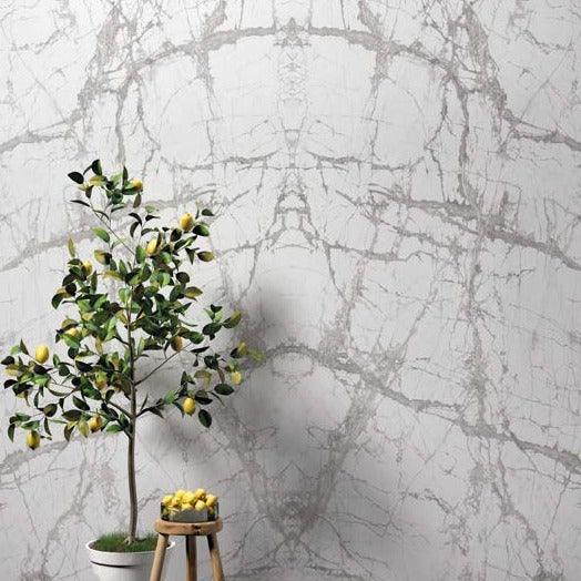 Elevated Slabs 12mm - Architessa