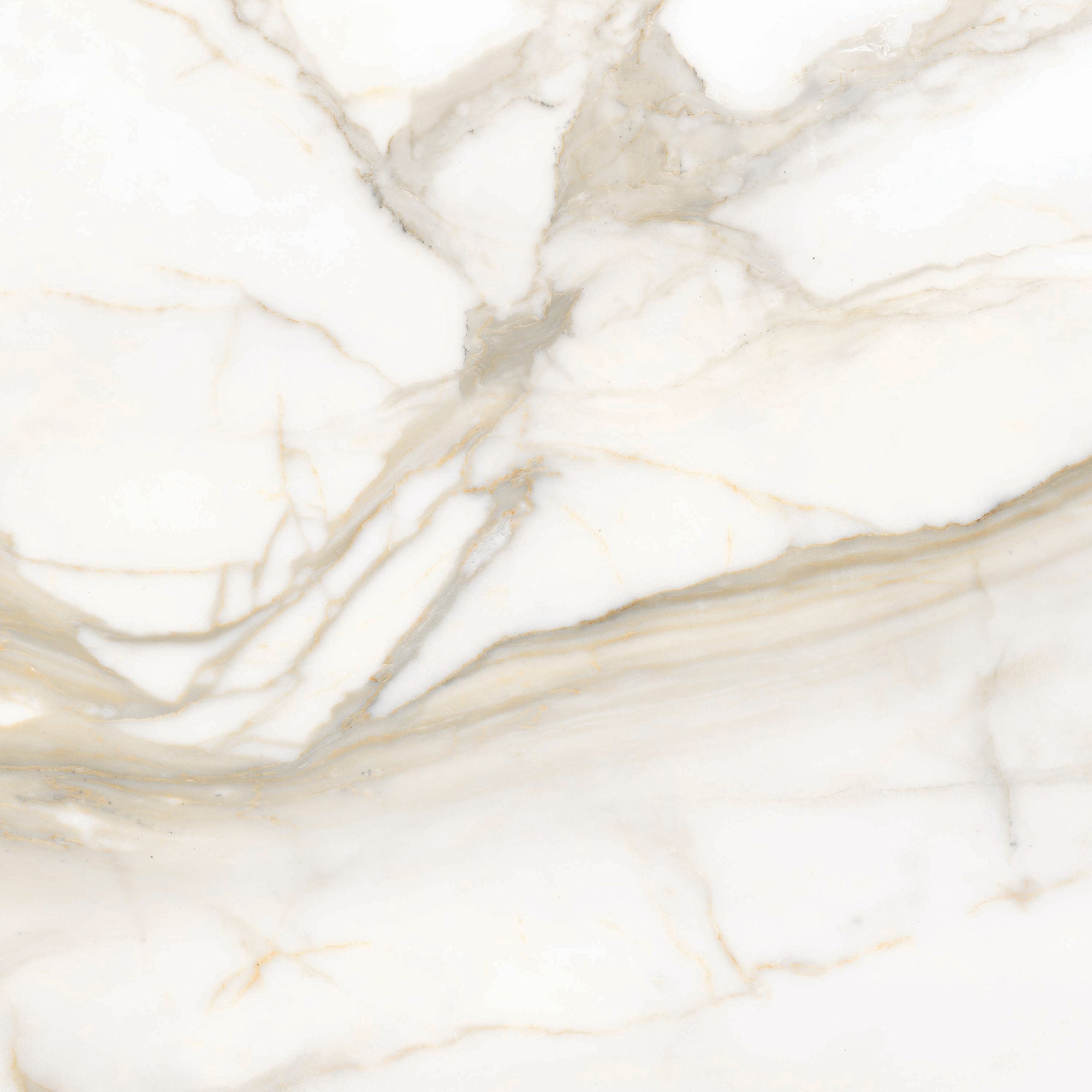 Maestro 6mm - Architessa