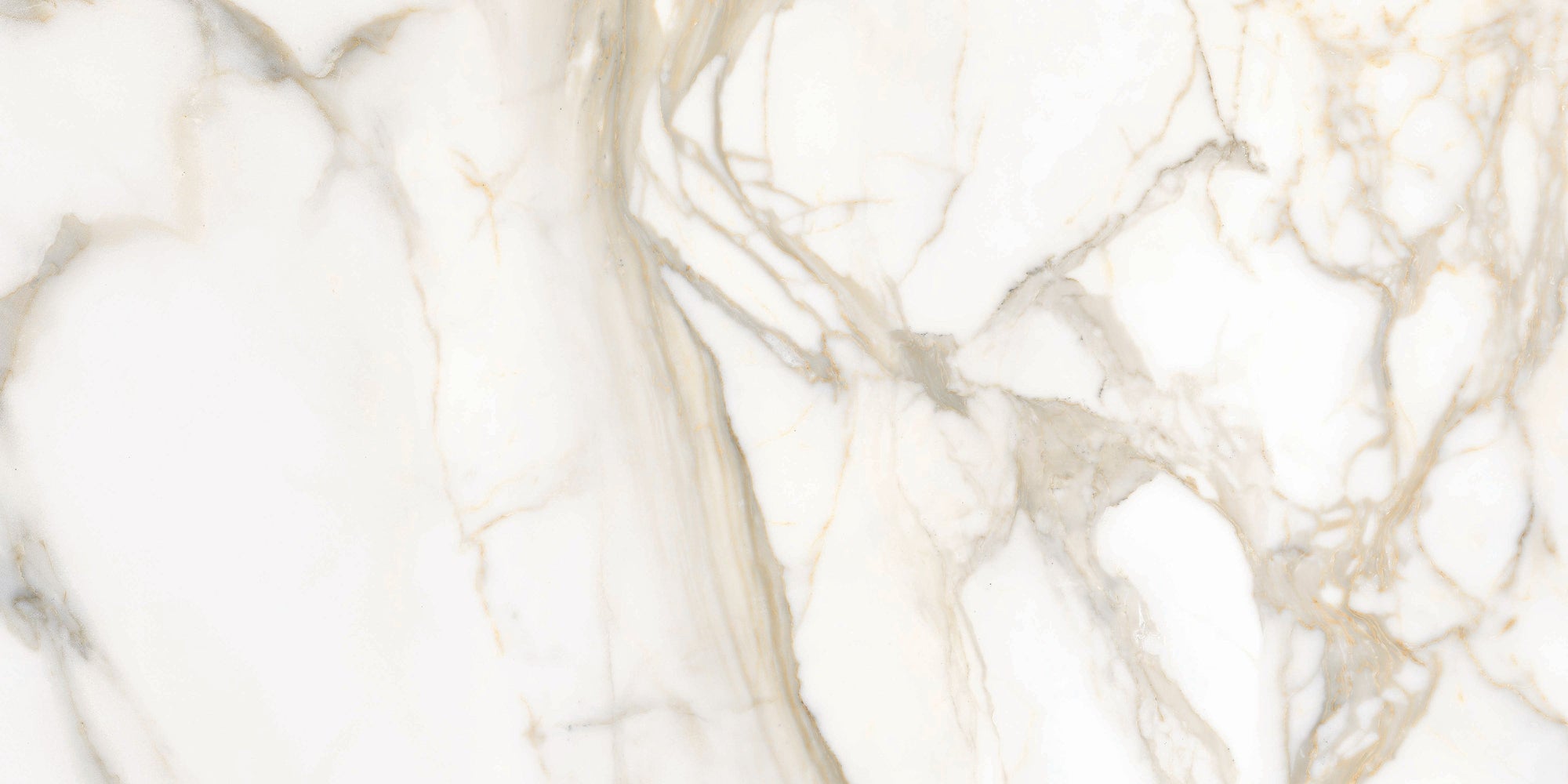 Maestro 6mm - Architessa