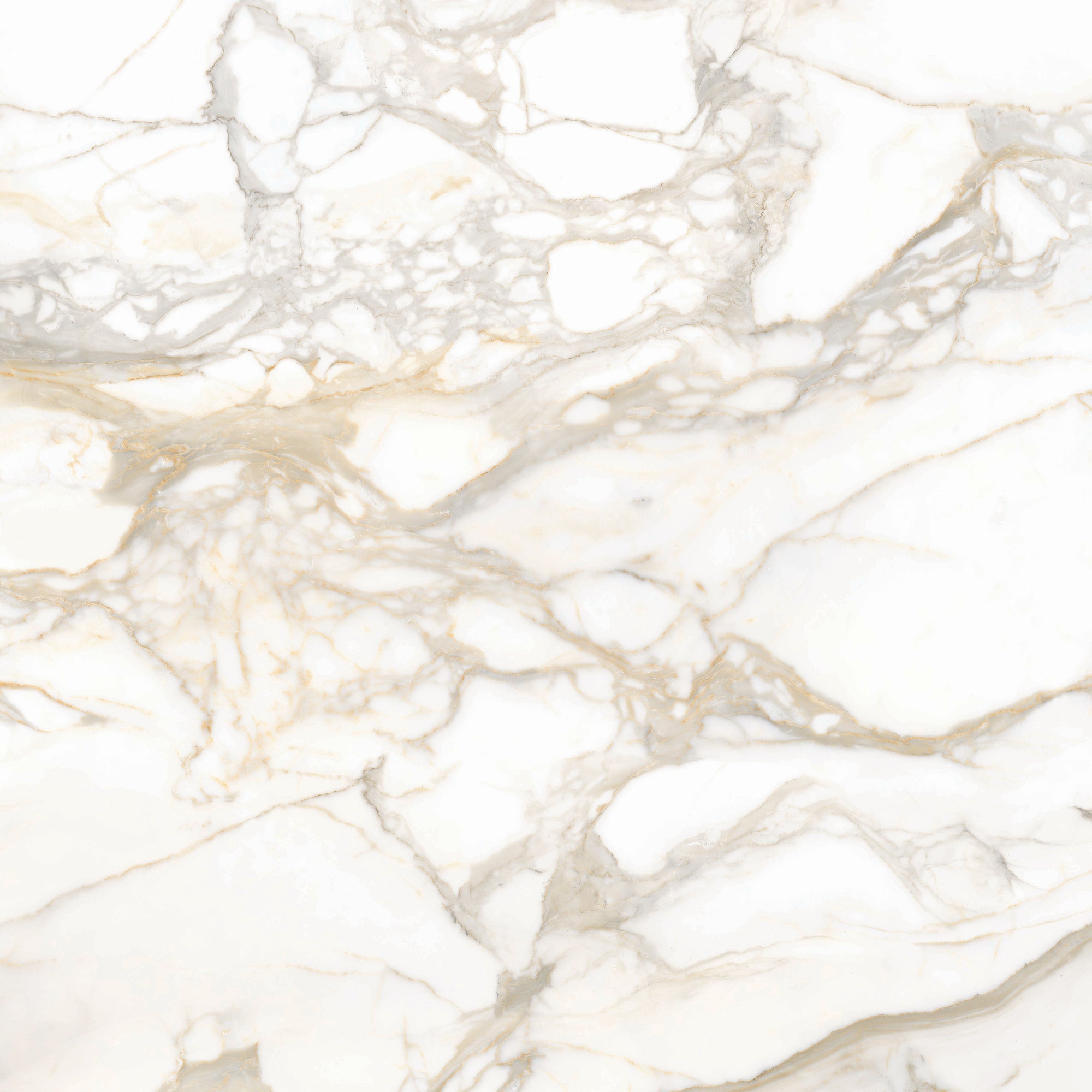 Maestro 6mm - Architessa