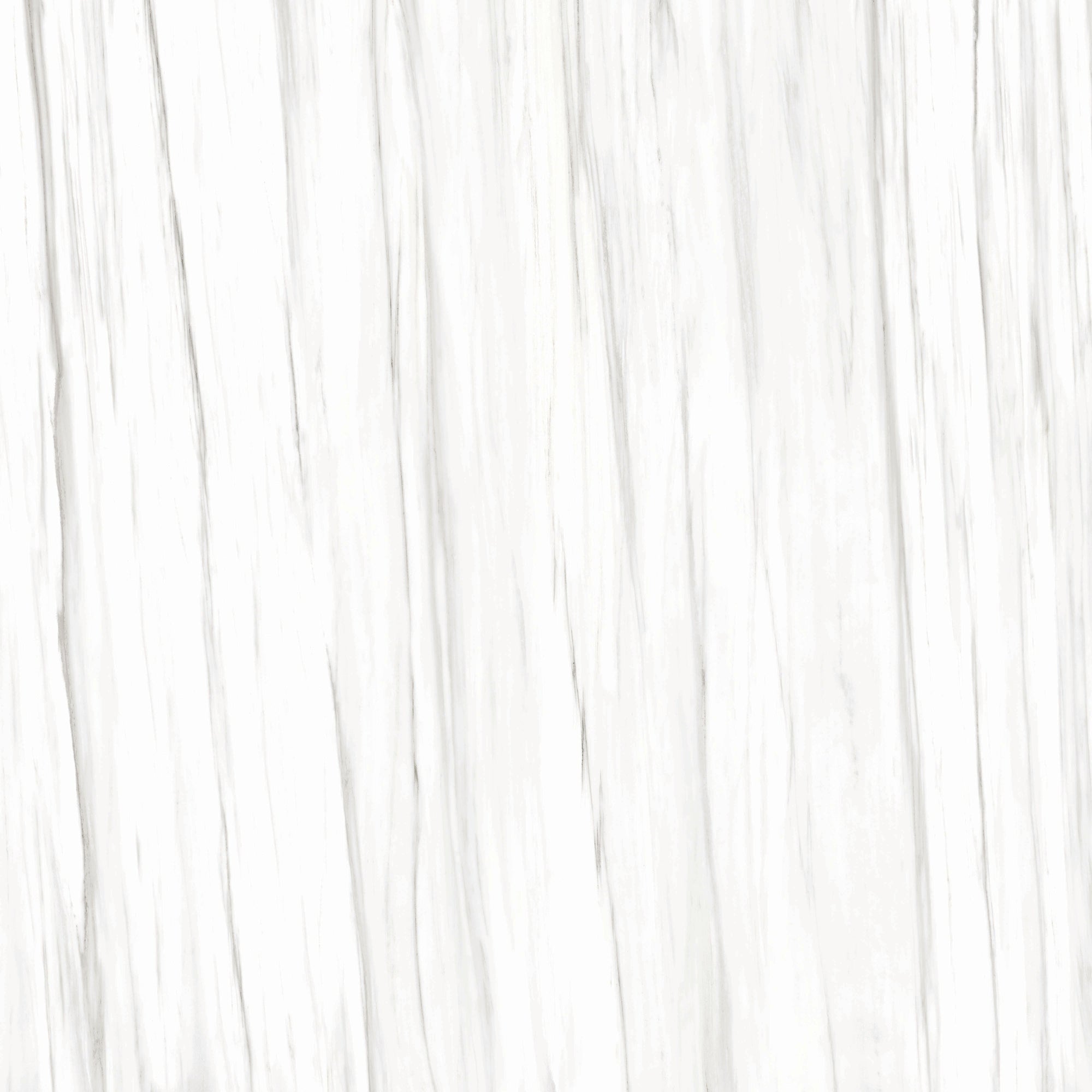 Maestro 6mm - Architessa