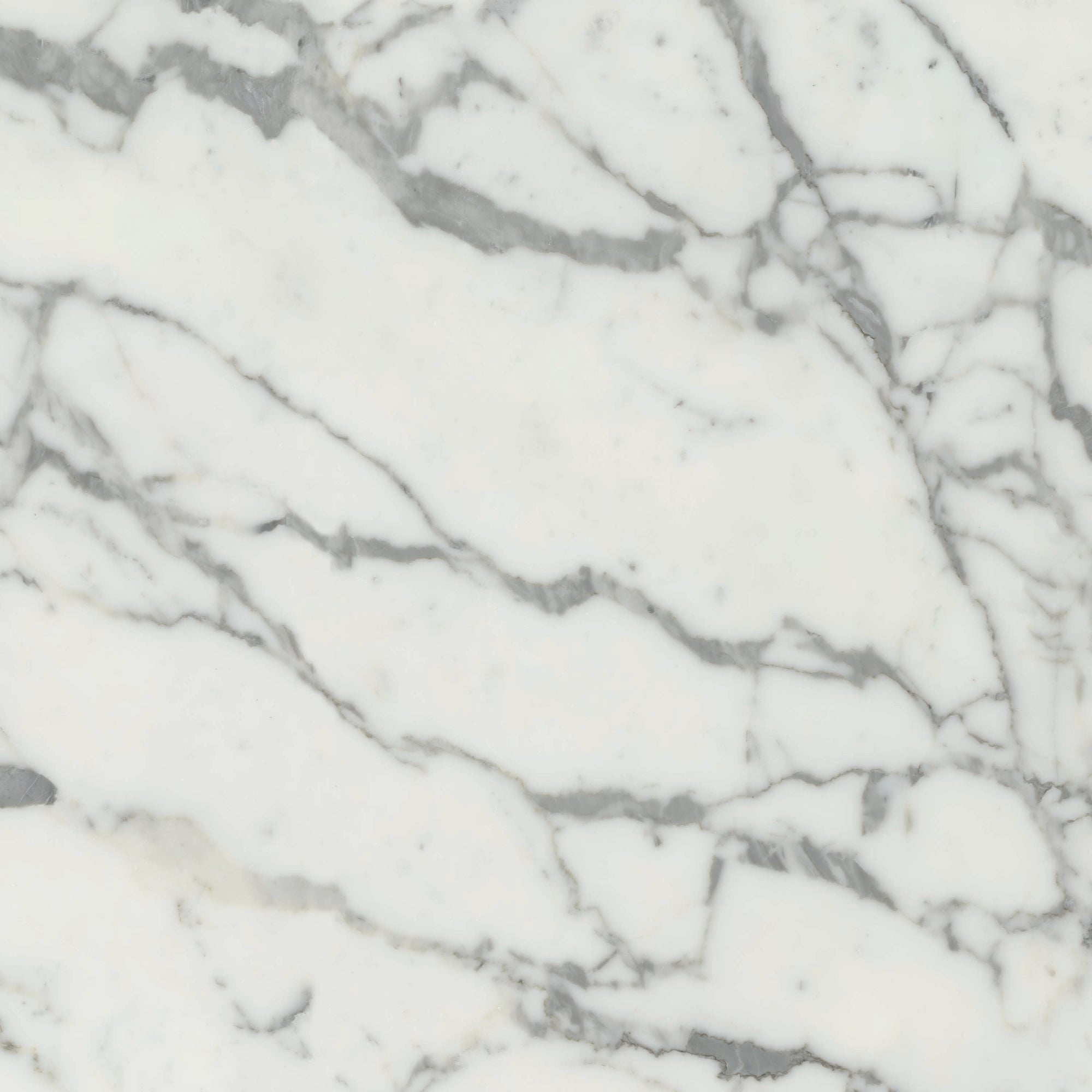 Maestro 6mm - Architessa