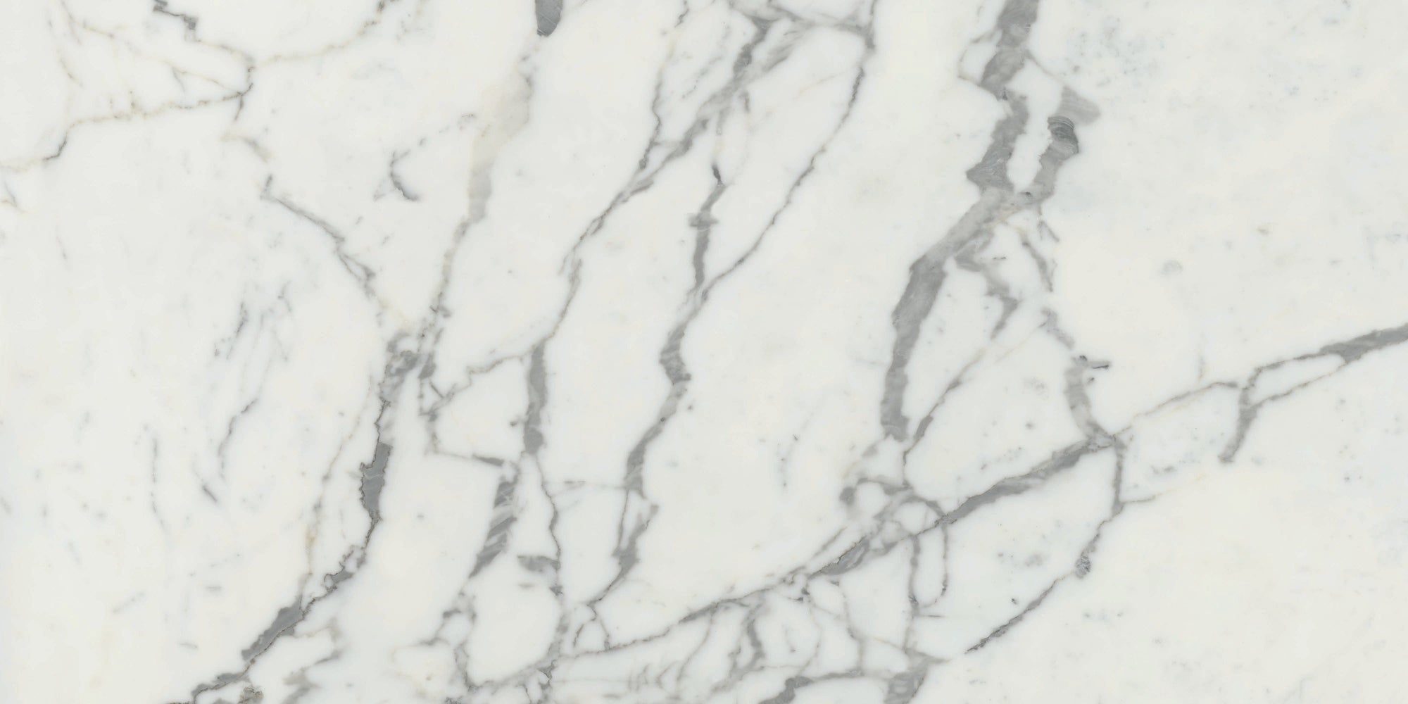 Maestro 6mm - Architessa