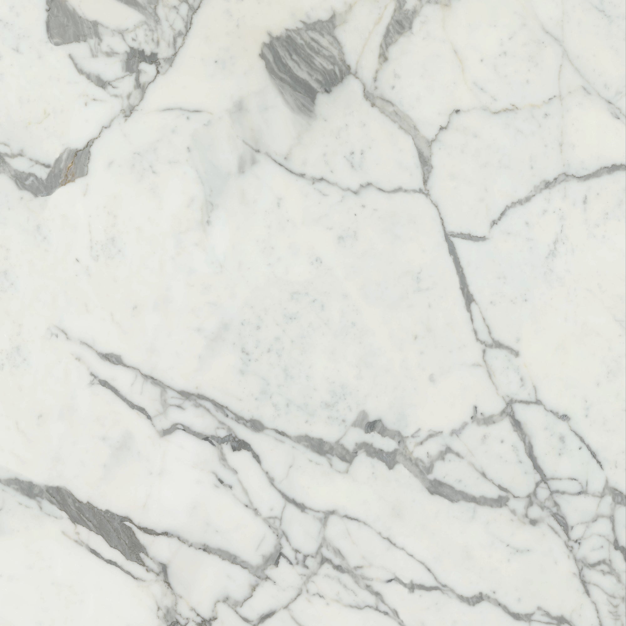 Maestro 6mm - Architessa