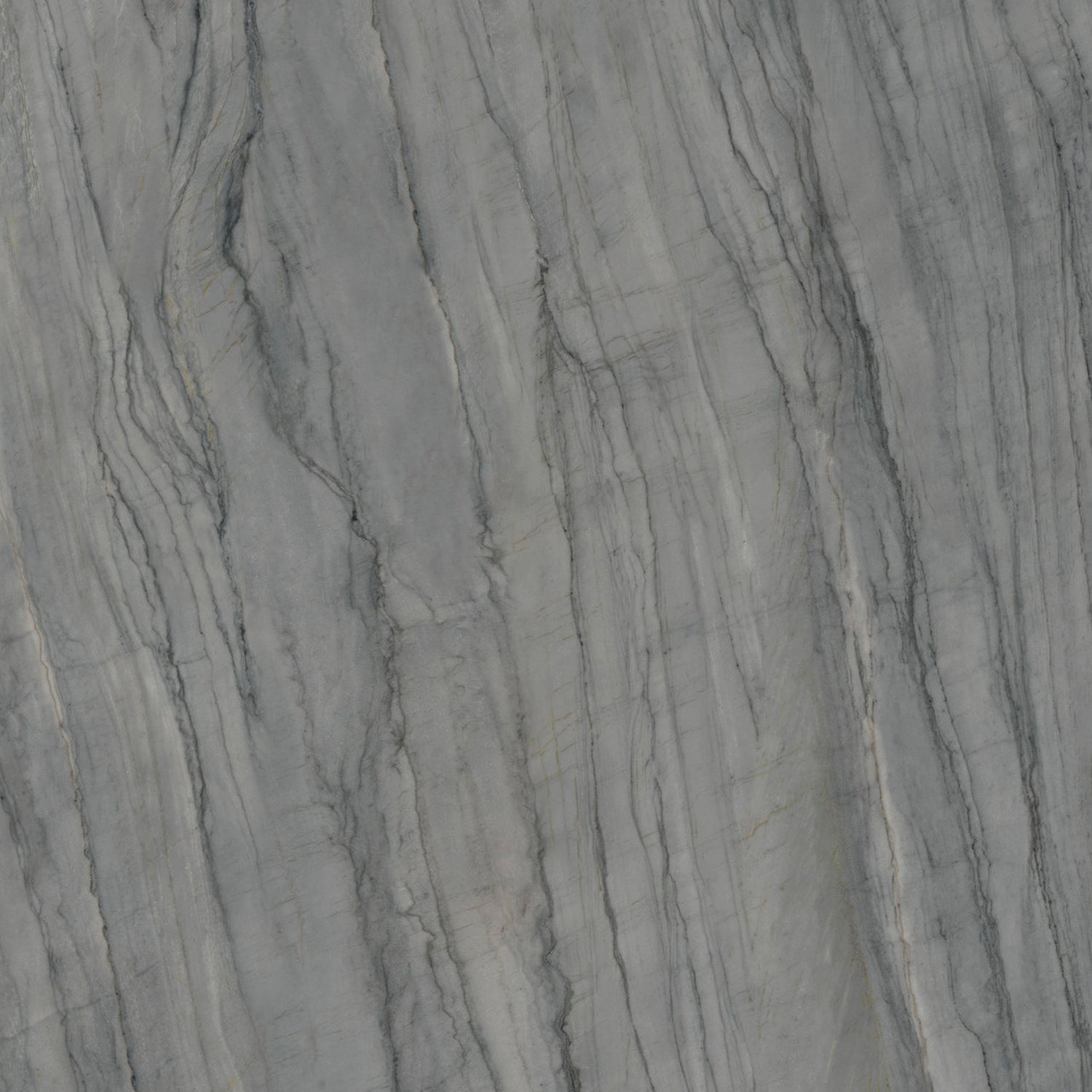 Maestro 6mm - Architessa