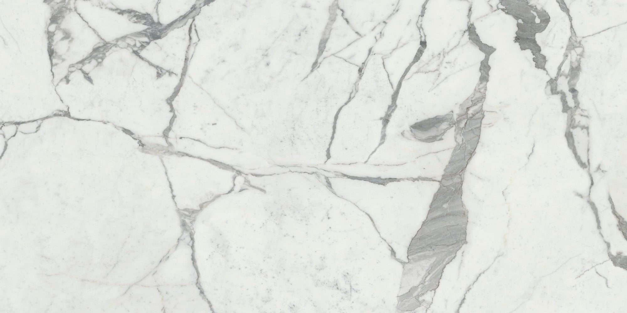 Maestro 6mm - Architessa