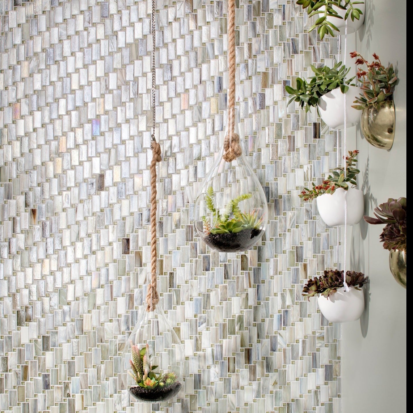 Tommy Bahama - Architessa