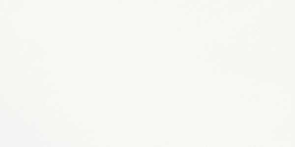 Murals Fuse - Architessa