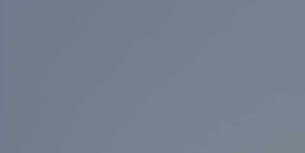 Murals Fuse - Architessa