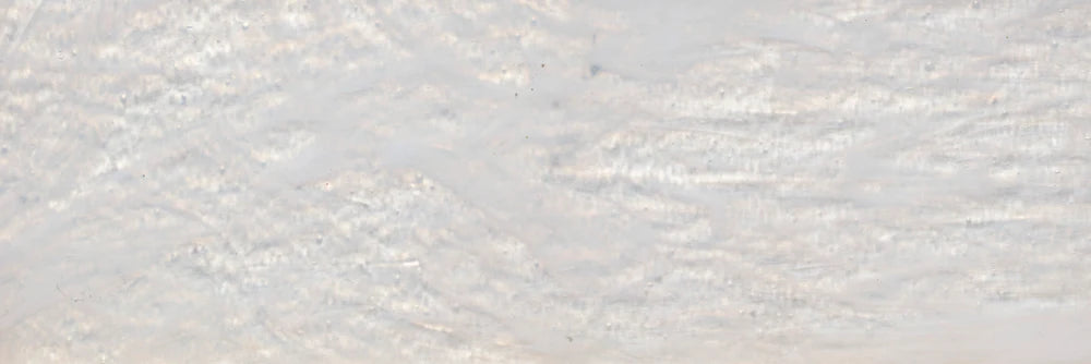 Moonbeam - Architessa