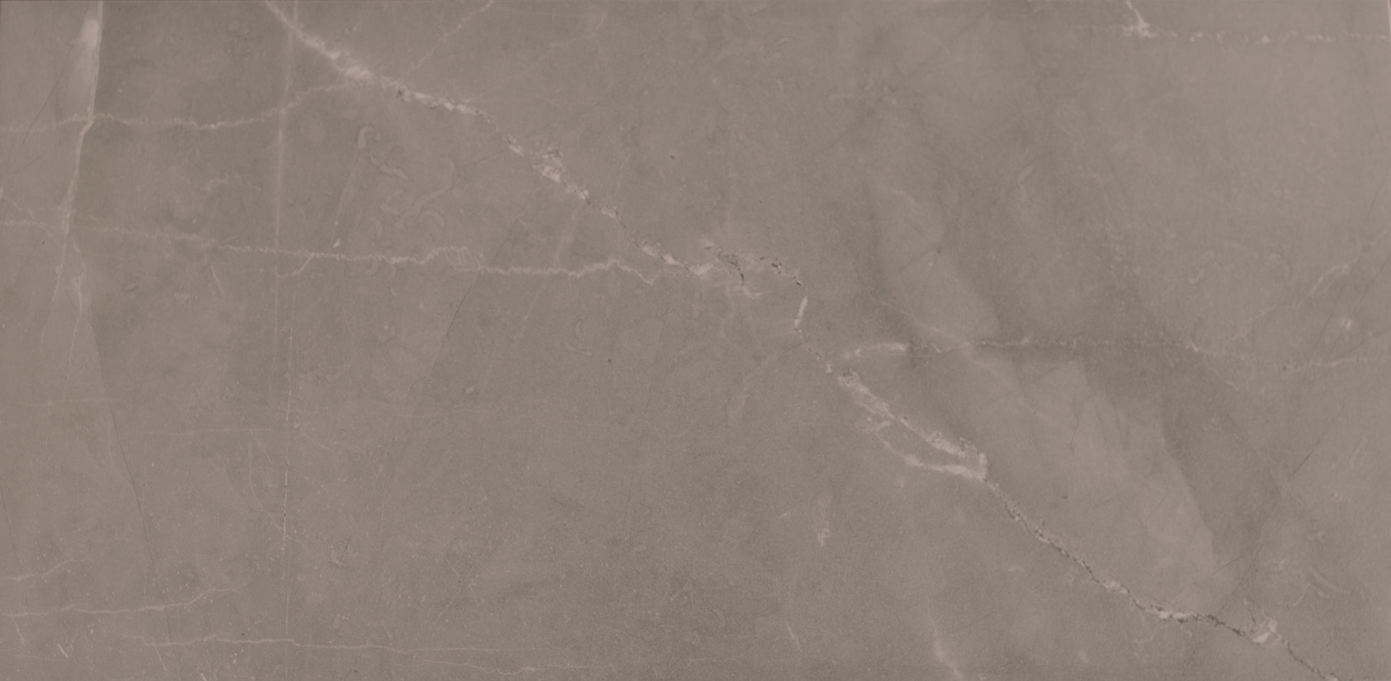 Palatial - Architessa