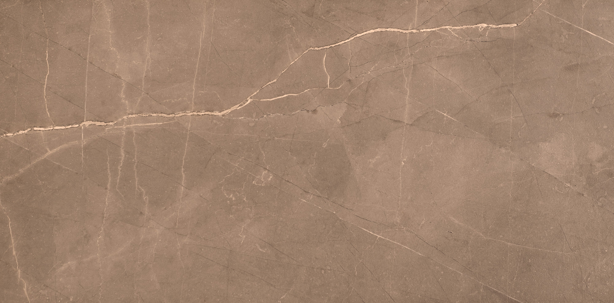 Palatial - Architessa